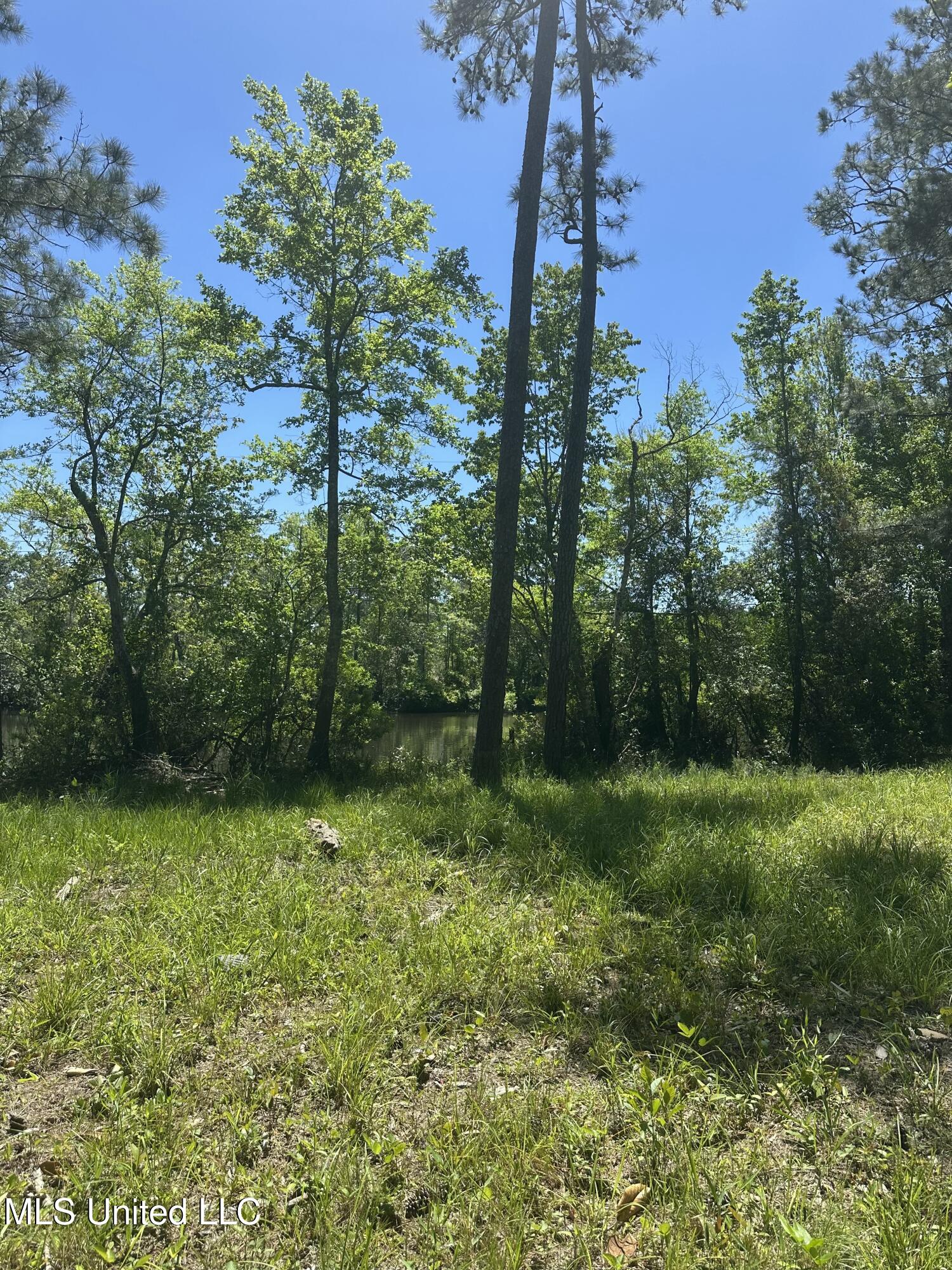 0 Riverland Drive Property Photo 12