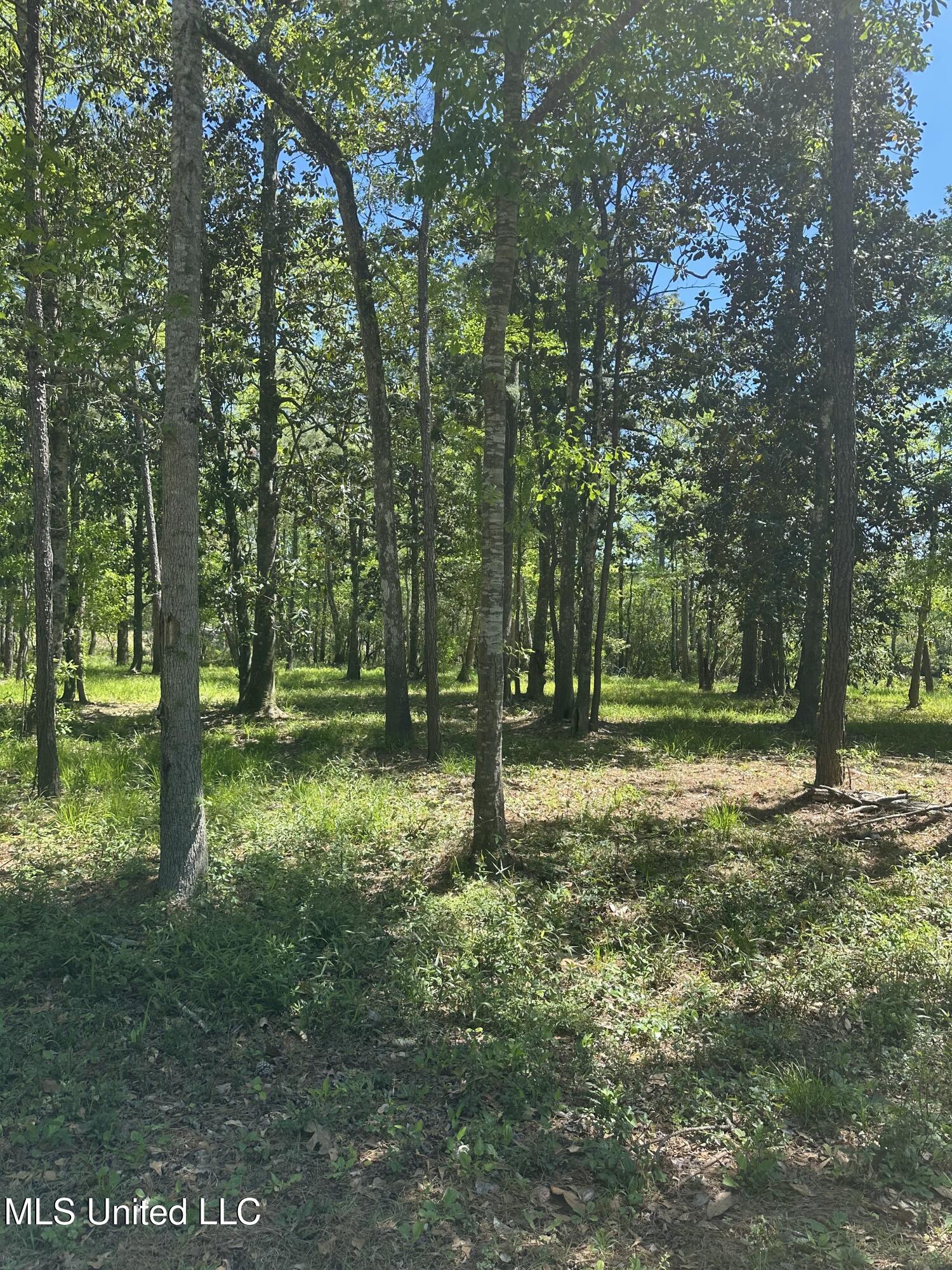 0 Riverland Drive Property Photo 15