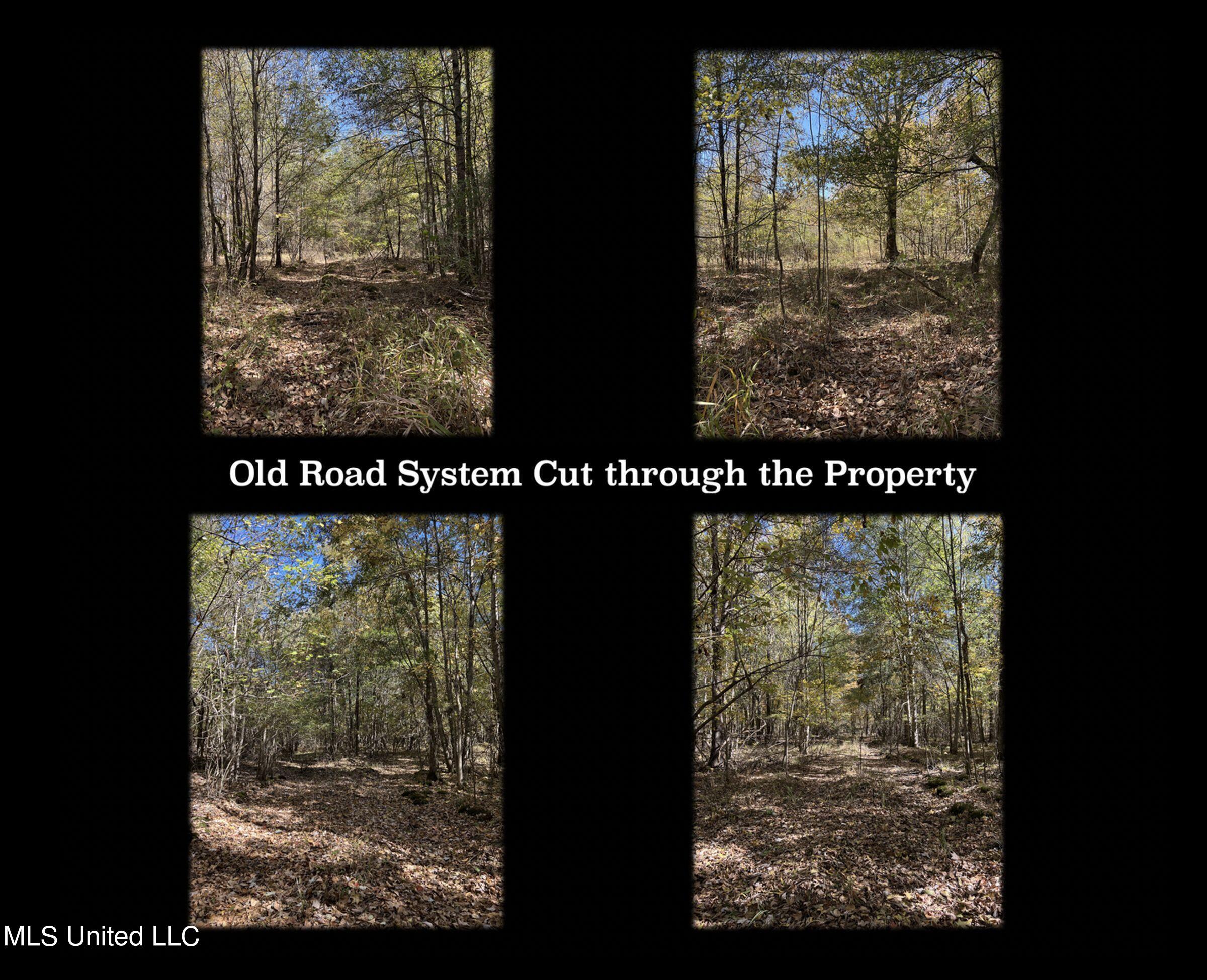 5151 Nash Road Property Photo 5