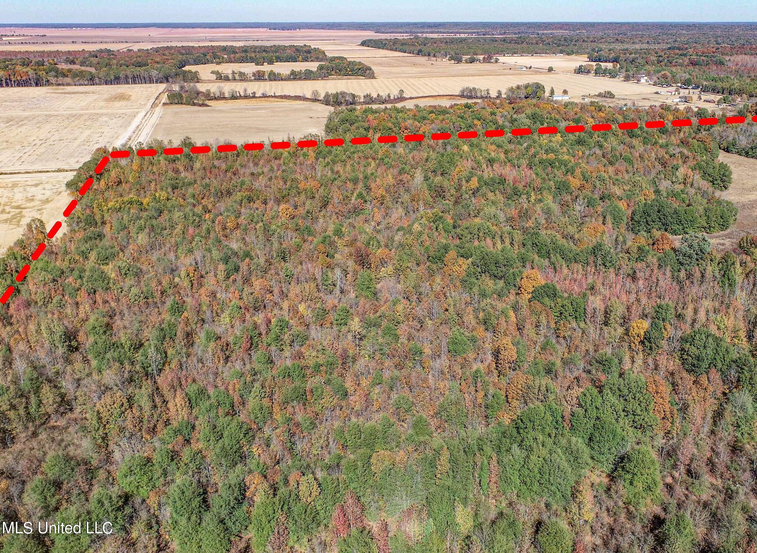 5151 Nash Road Property Photo 14