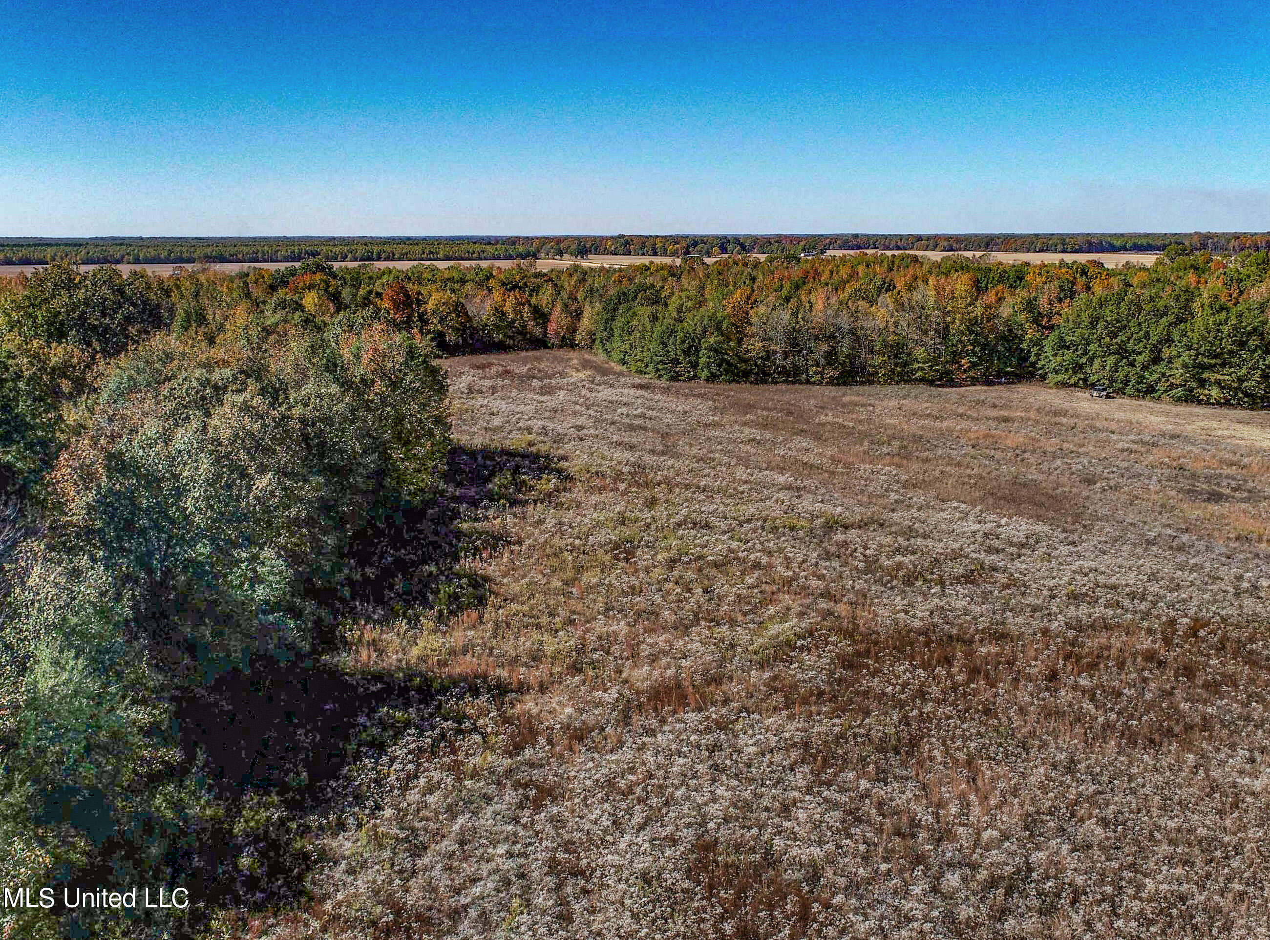 5151 Nash Road Property Photo 19