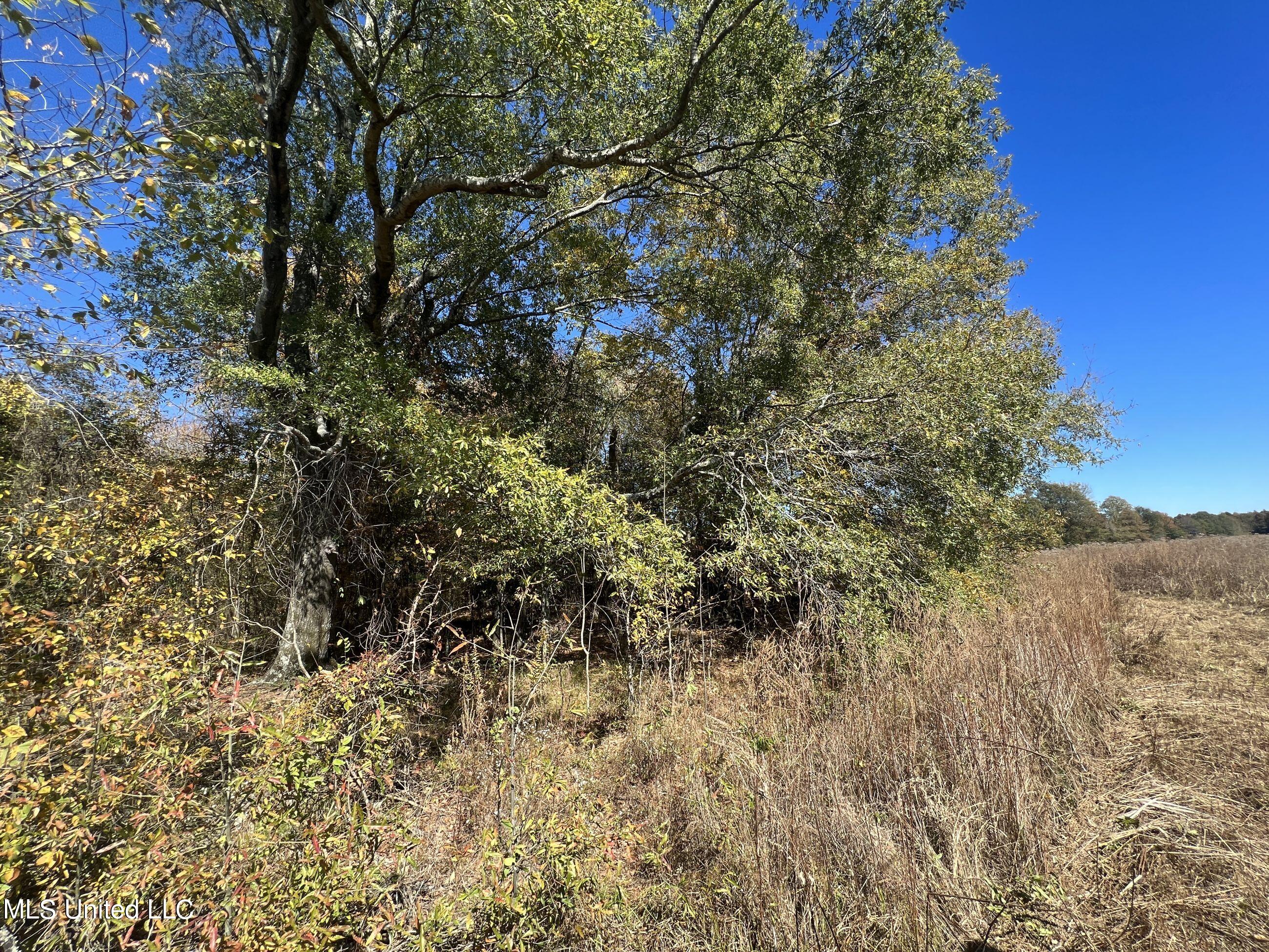 5151 Nash Road Property Photo 25