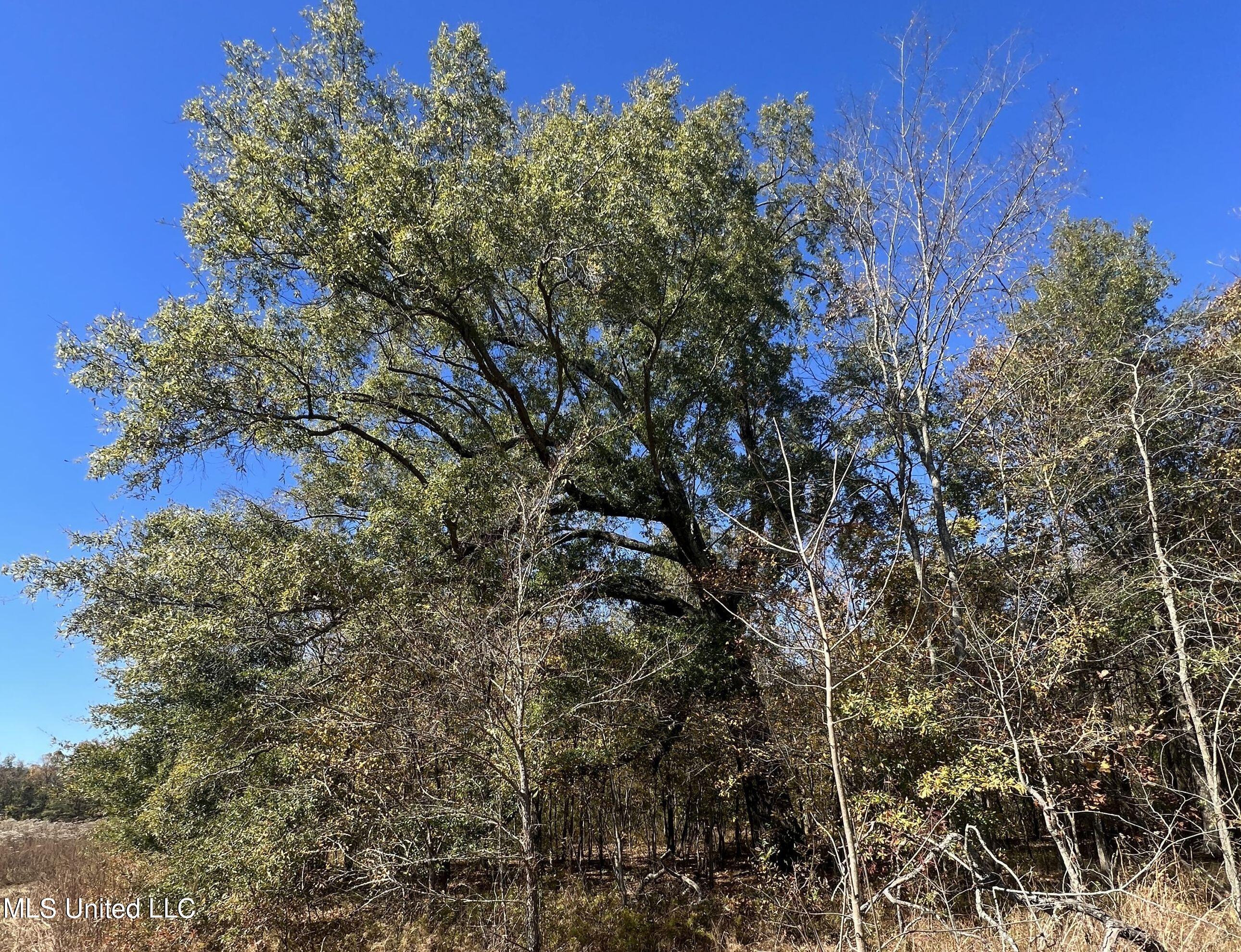 5151 Nash Road Property Photo 26