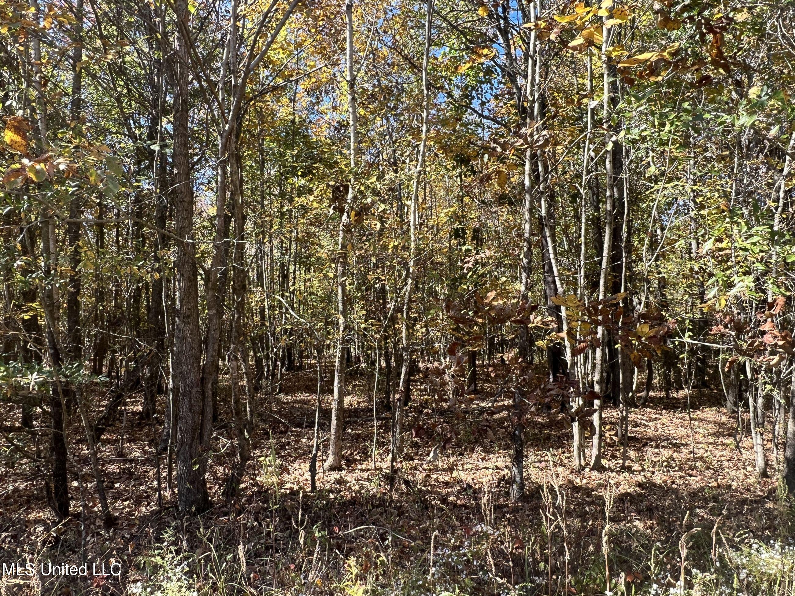 5151 Nash Road Property Photo 28