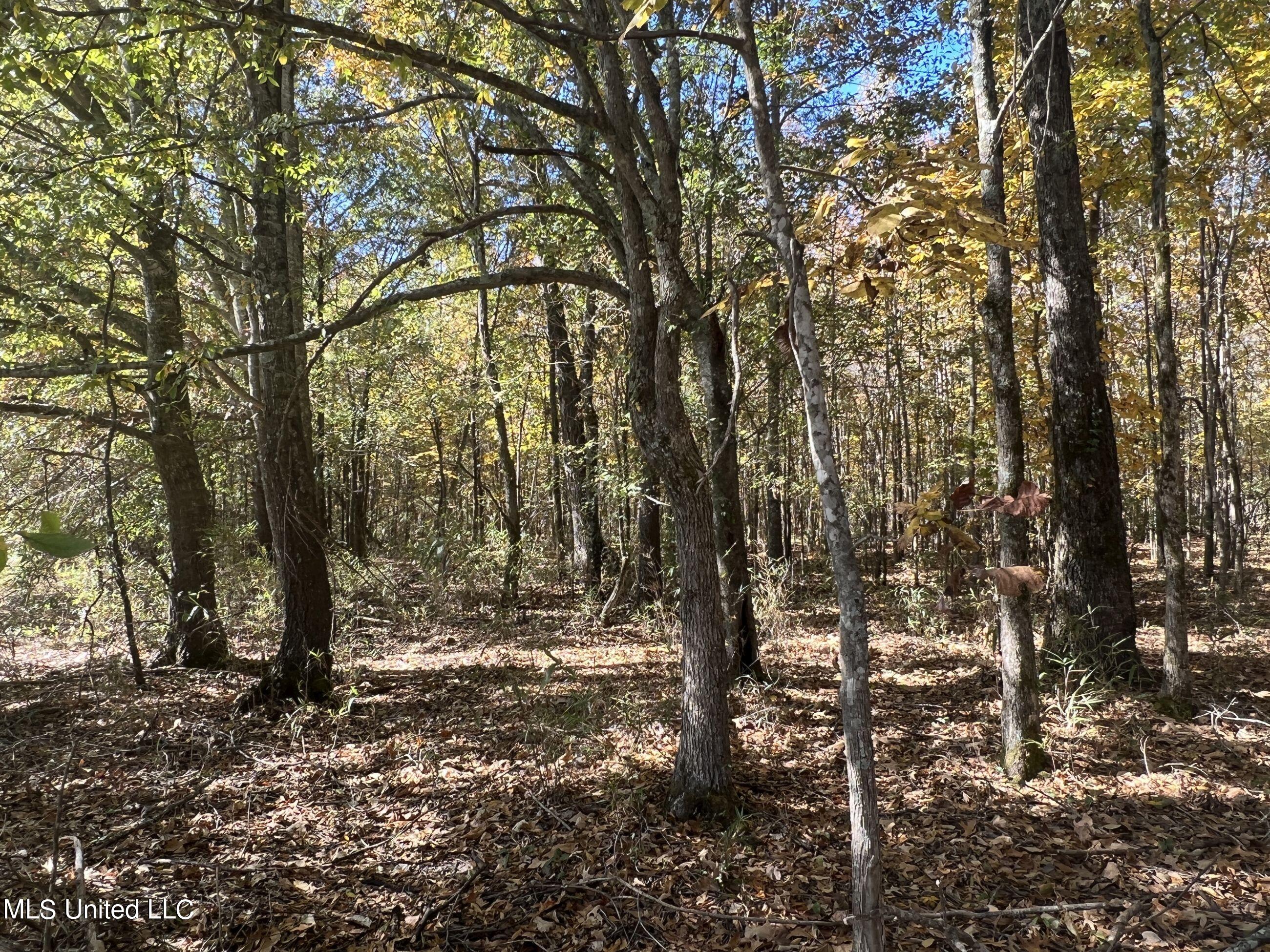 5151 Nash Road Property Photo 29