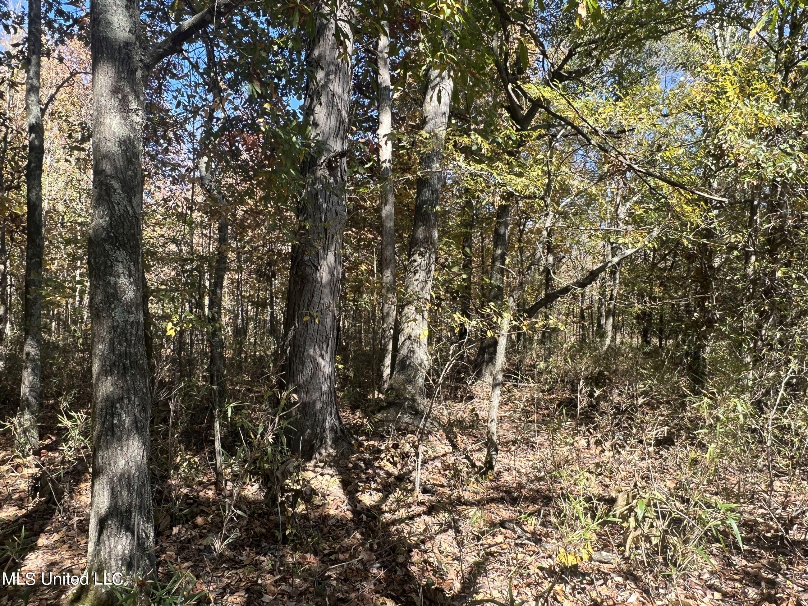 5151 Nash Road Property Photo 30