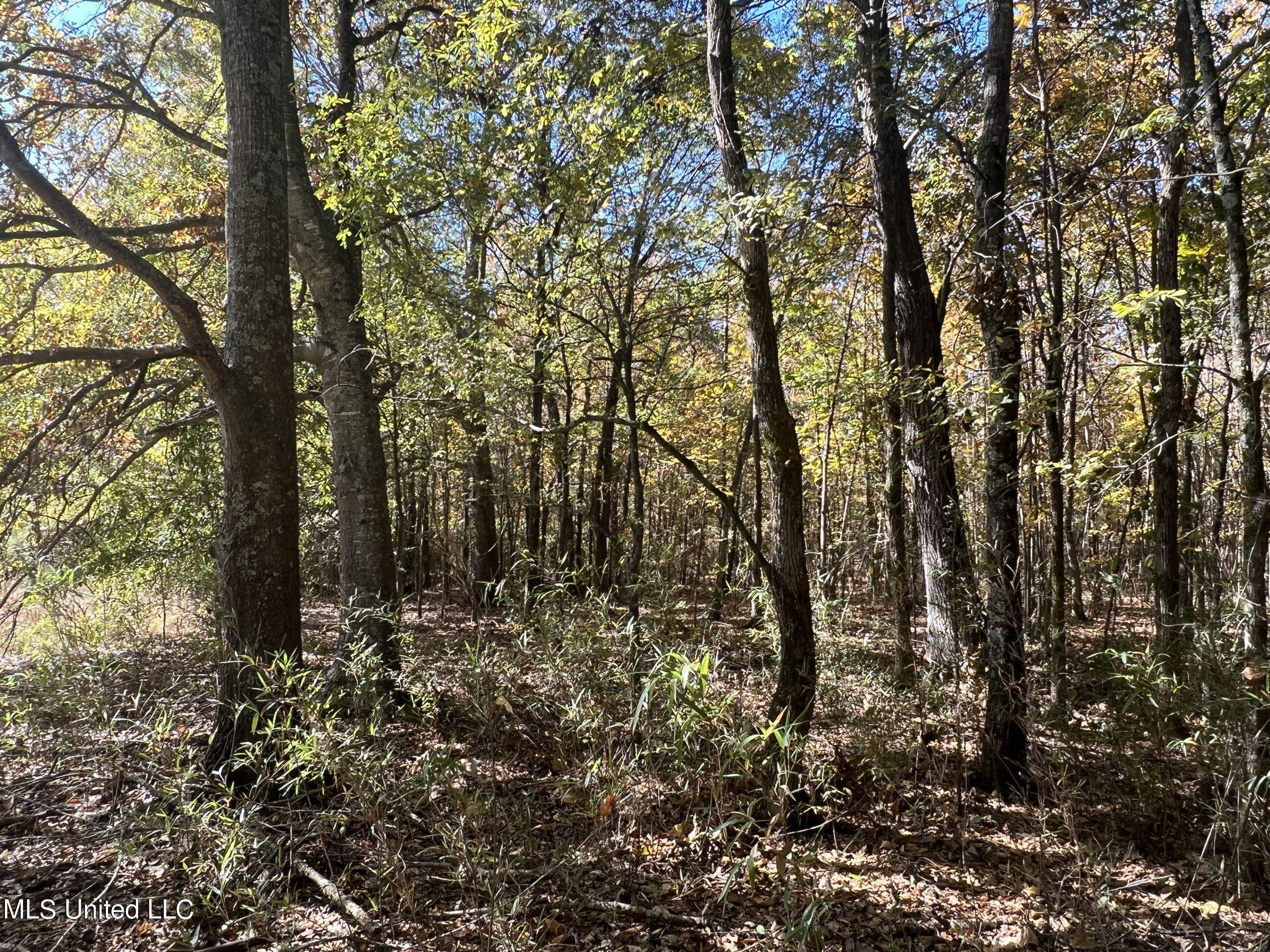 5151 Nash Road Property Photo 31
