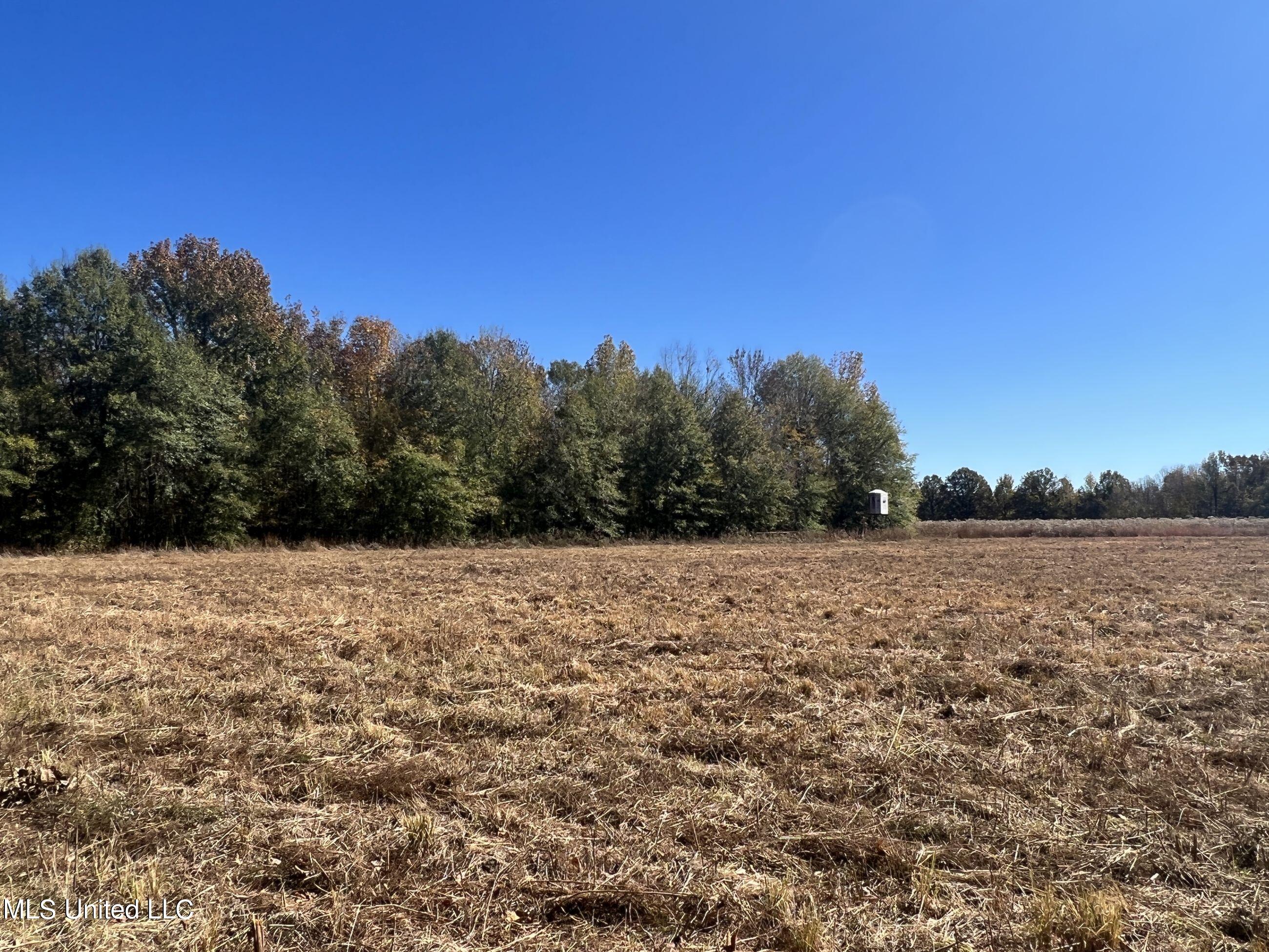 5151 Nash Road Property Photo 32