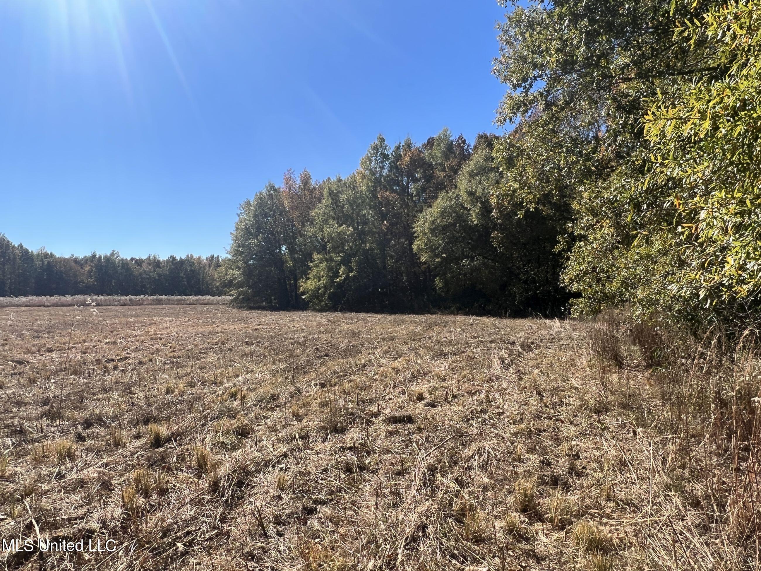 5151 Nash Road Property Photo 33