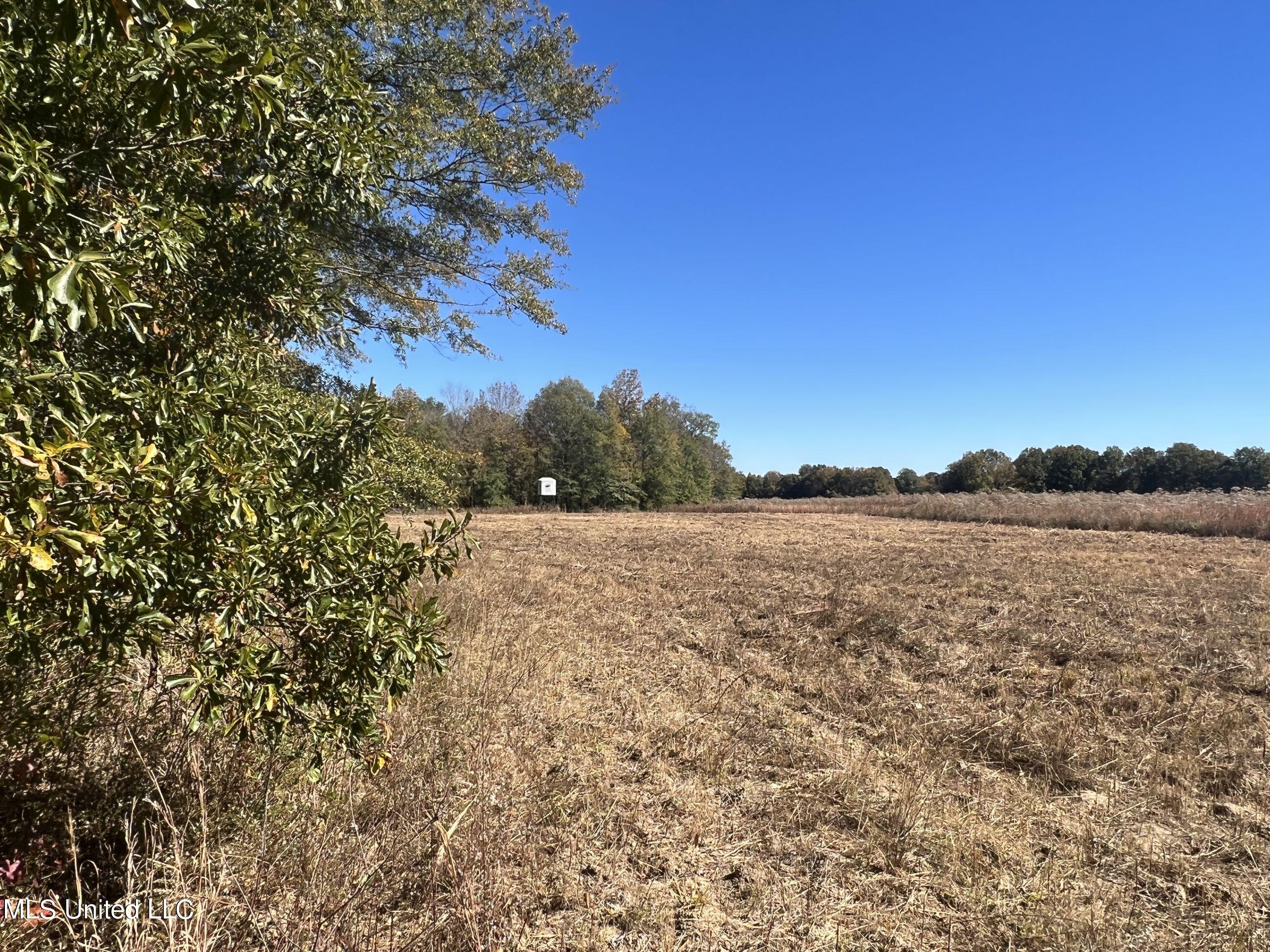 5151 Nash Road Property Photo 34