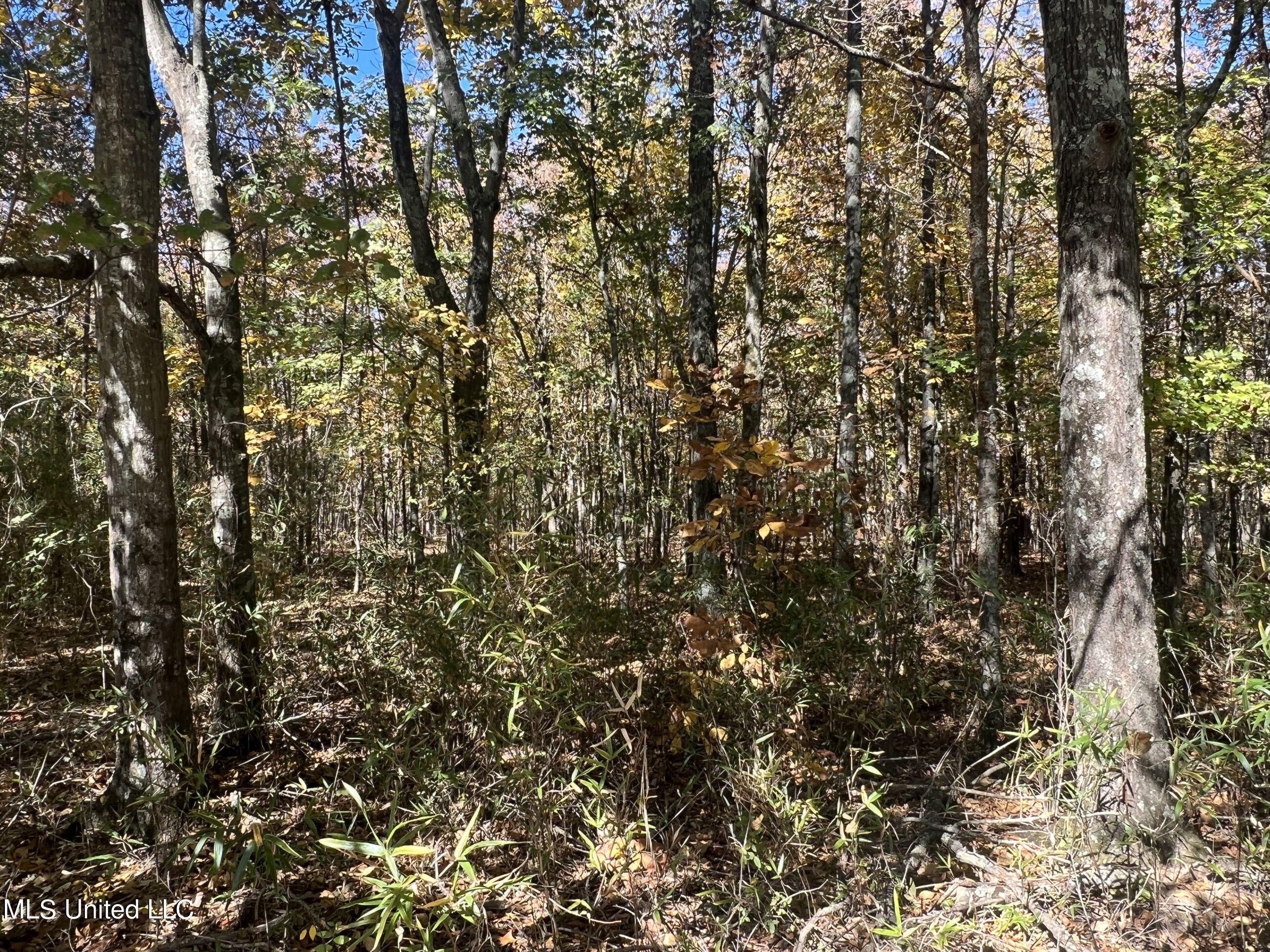 5151 Nash Road Property Photo 35