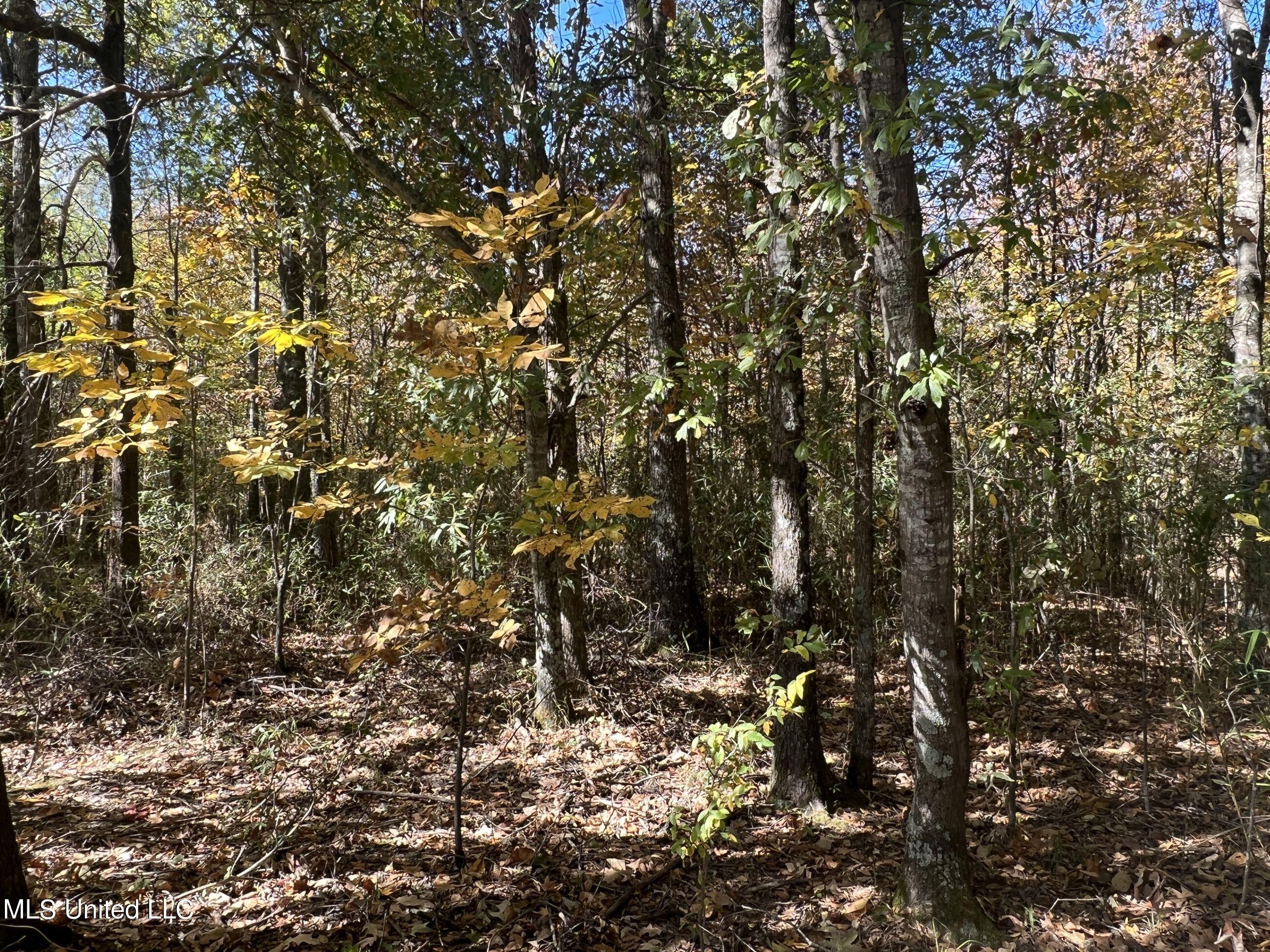 5151 Nash Road Property Photo 36