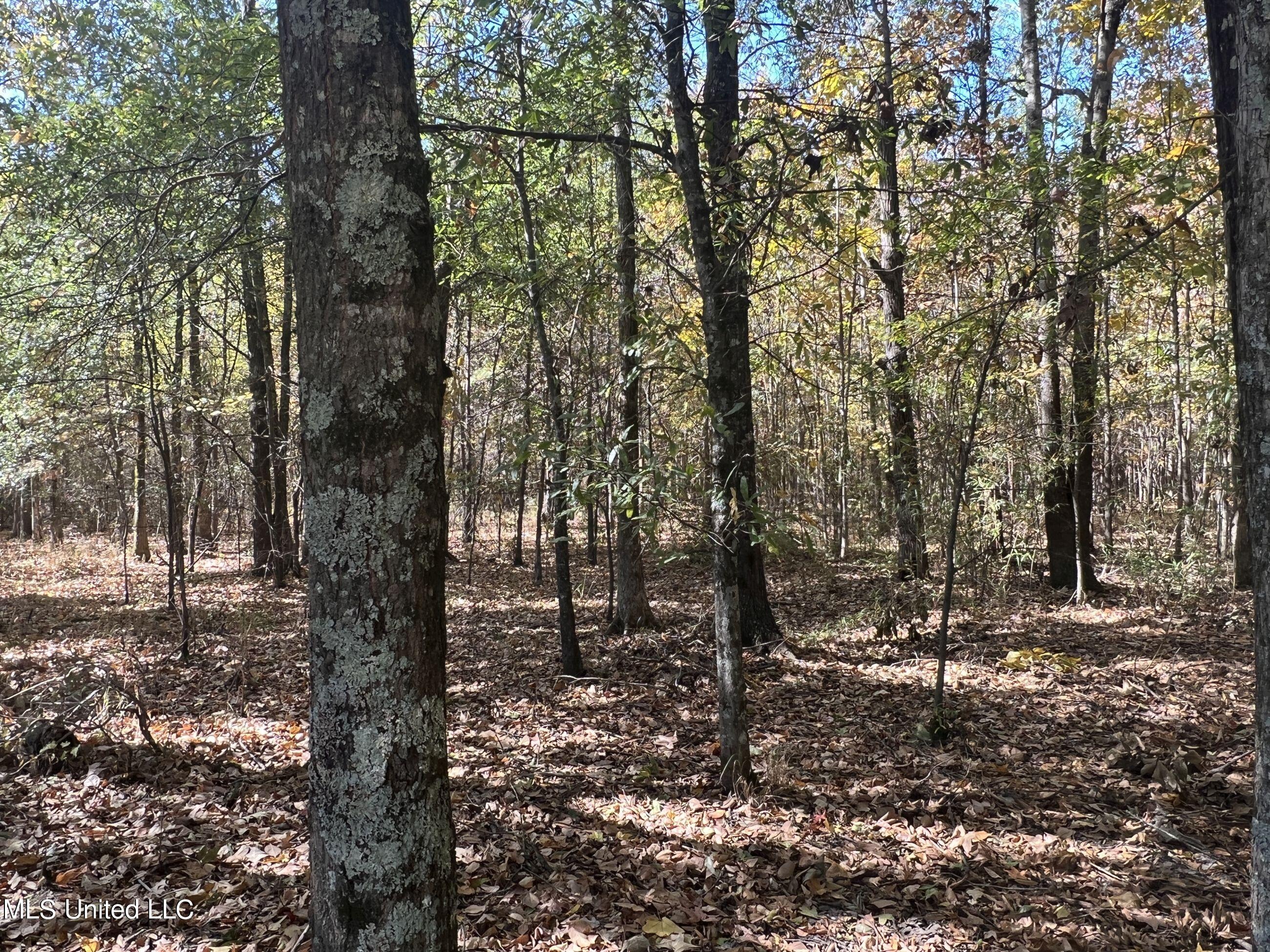 5151 Nash Road Property Photo 37