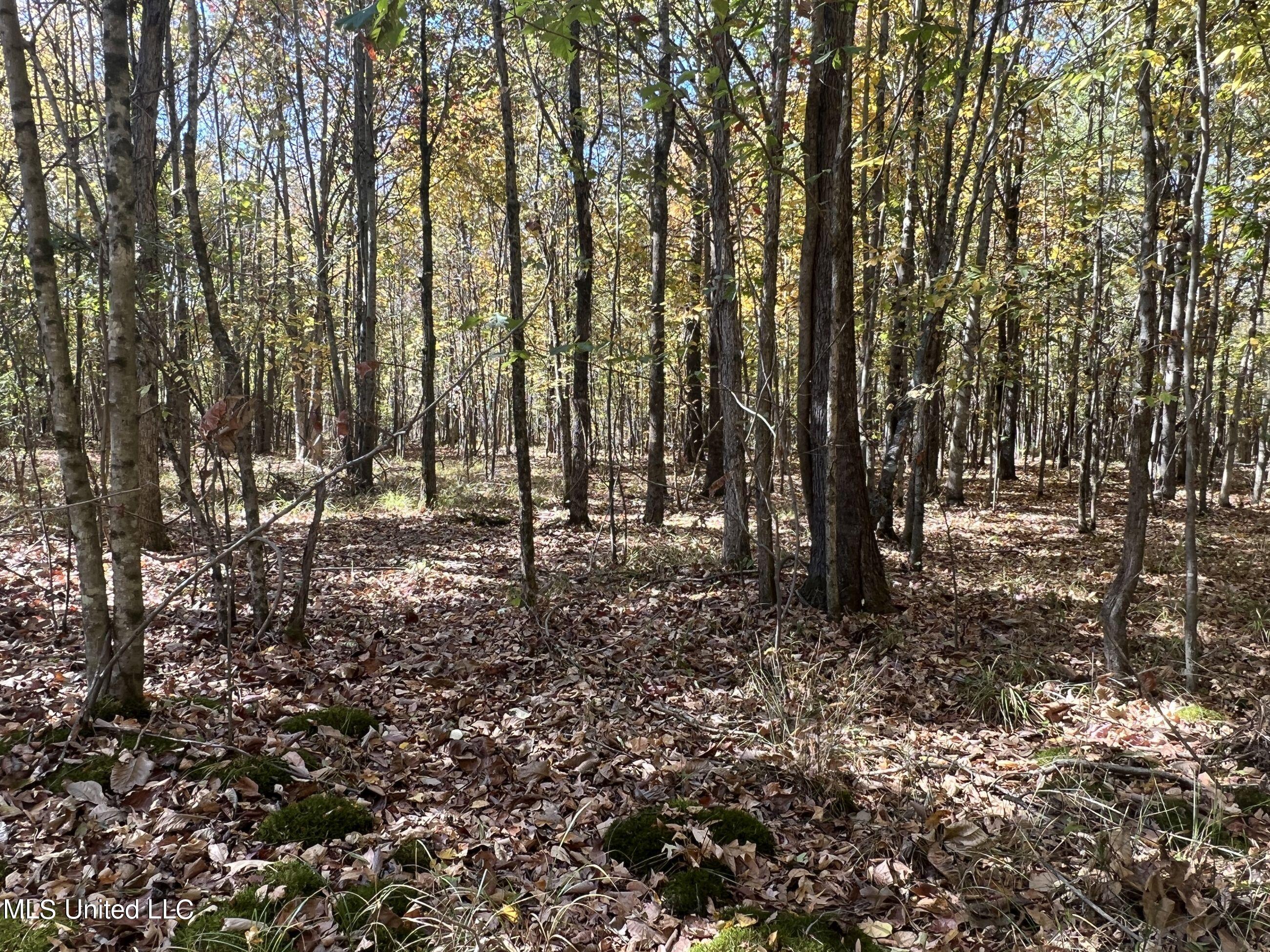 5151 Nash Road Property Photo 38