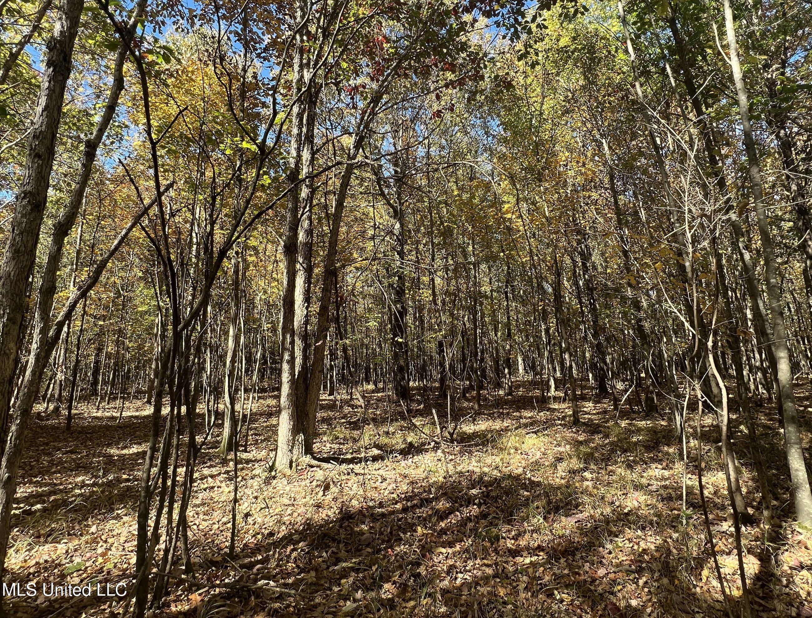5151 Nash Road Property Photo 40