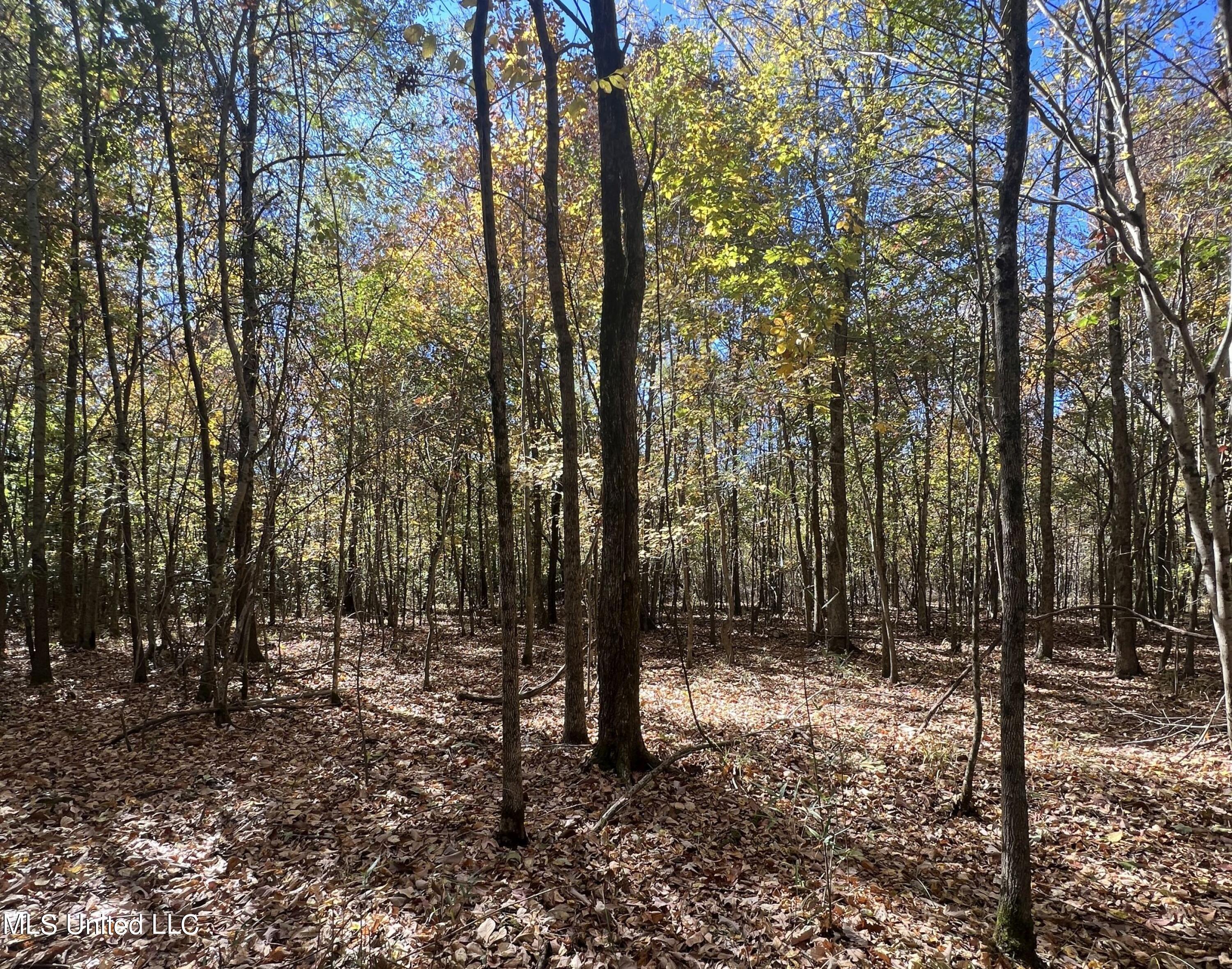 5151 Nash Road Property Photo 41