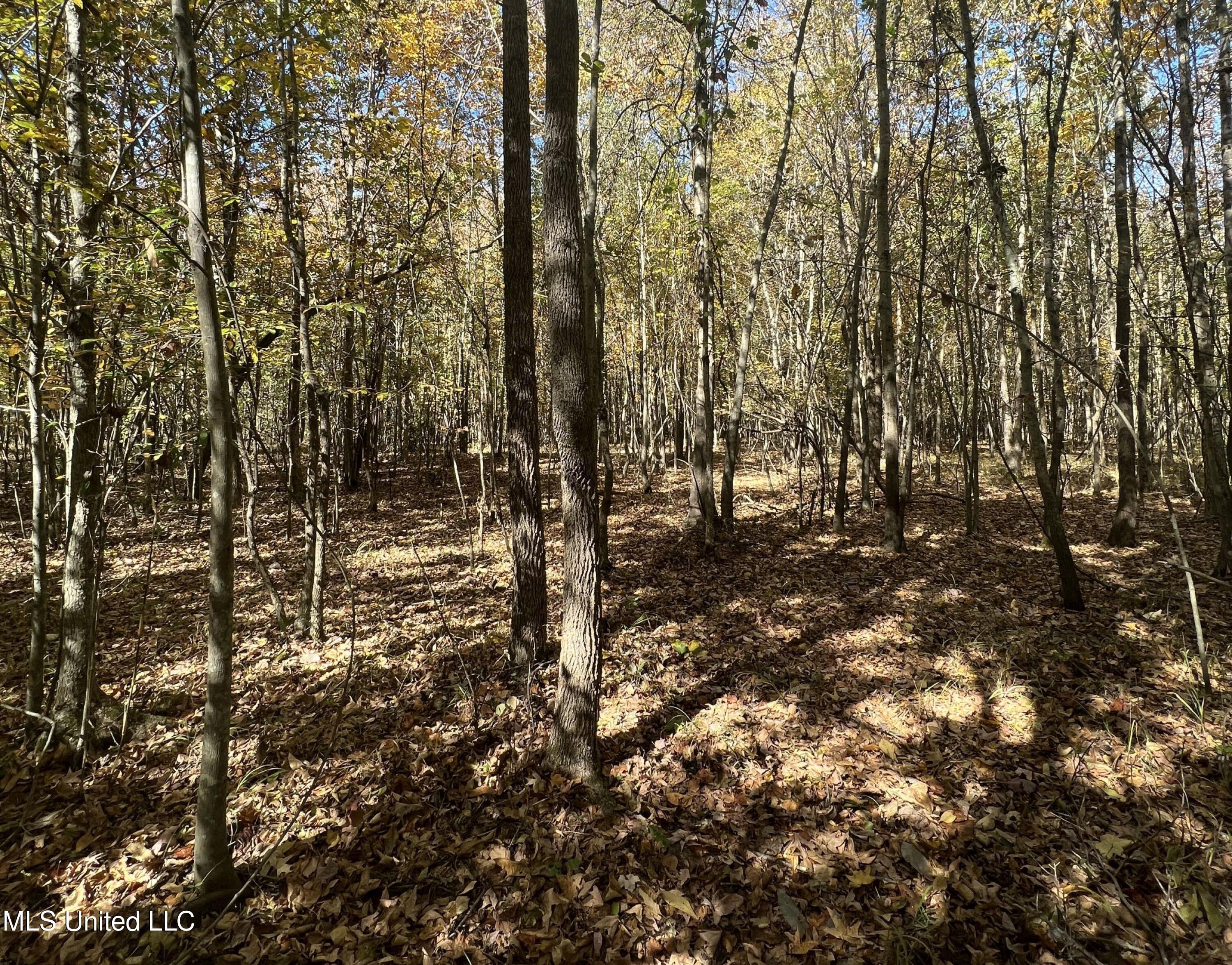 5151 Nash Road Property Photo 42
