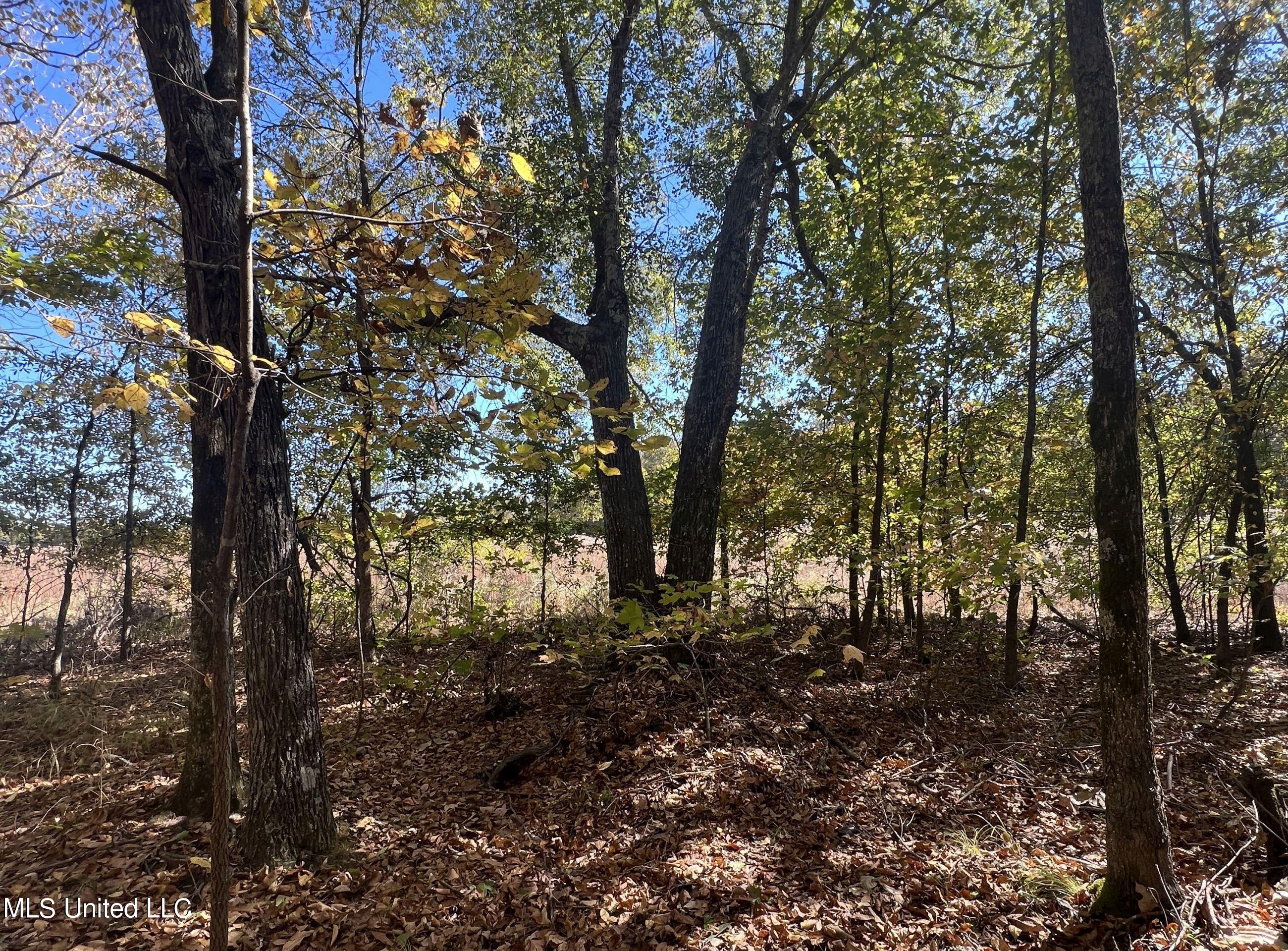 5151 Nash Road Property Photo 43