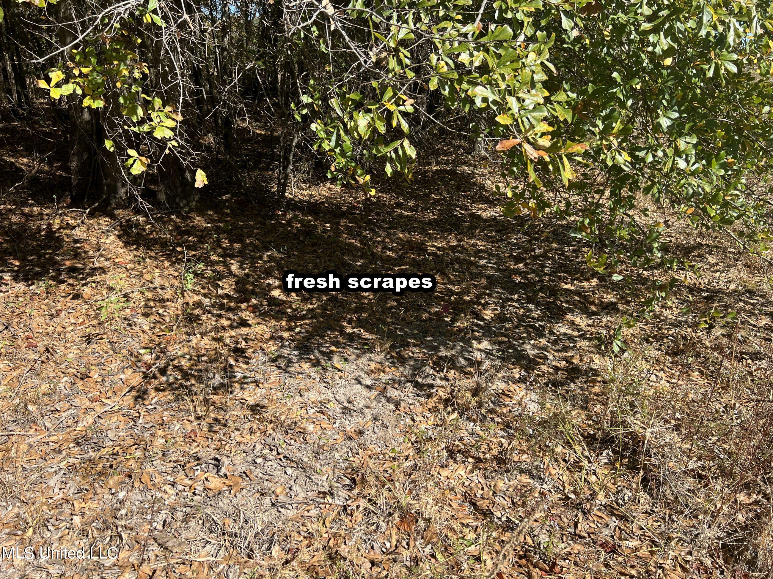 5151 Nash Road Property Photo 44