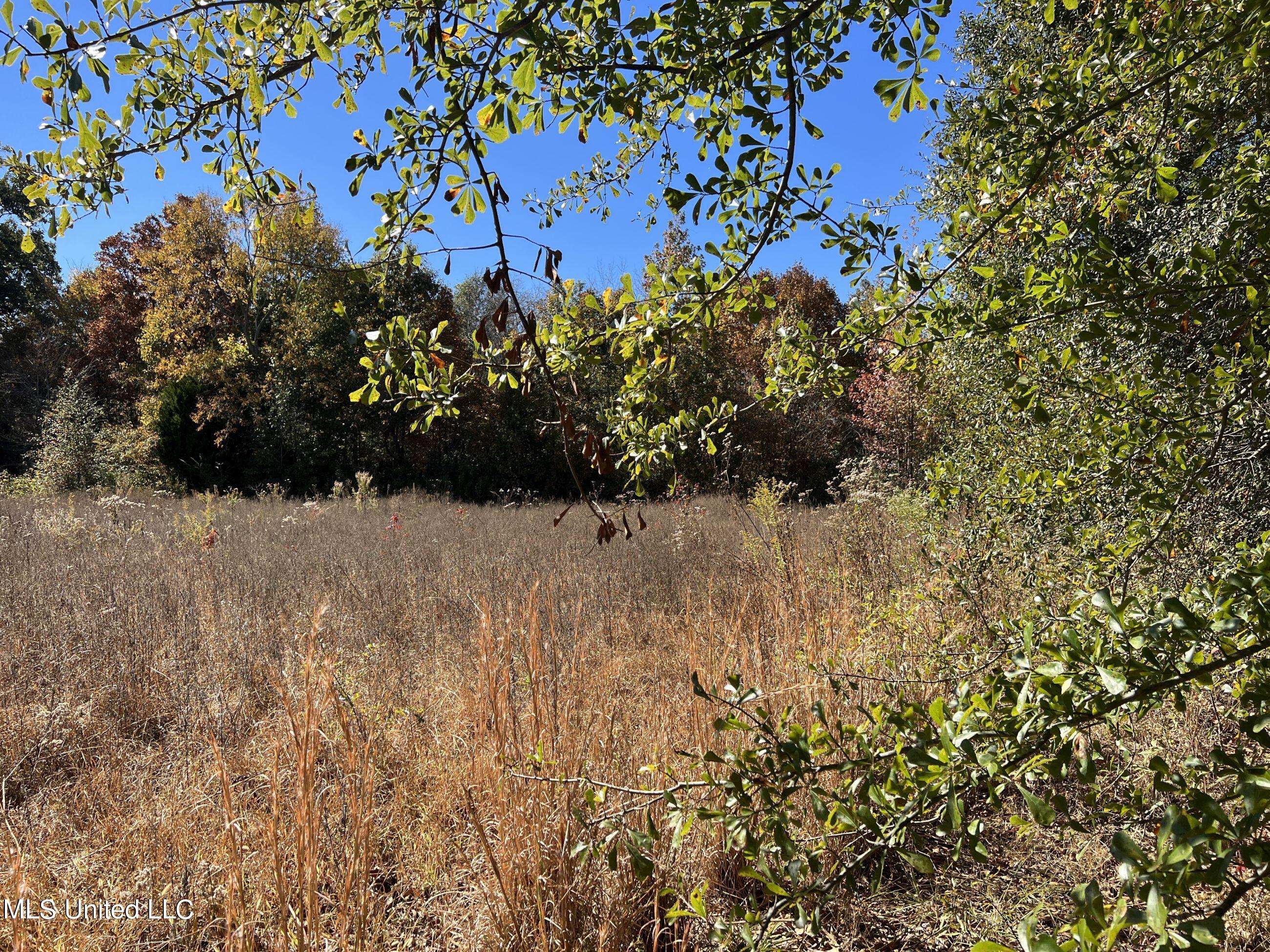 5151 Nash Road Property Photo 45