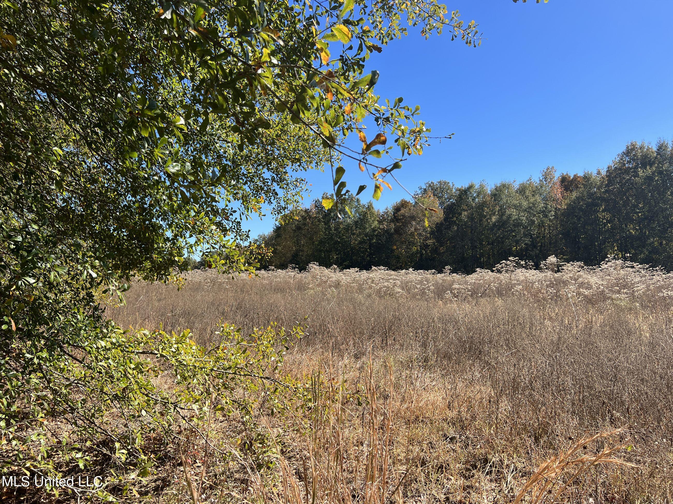5151 Nash Road Property Photo 46