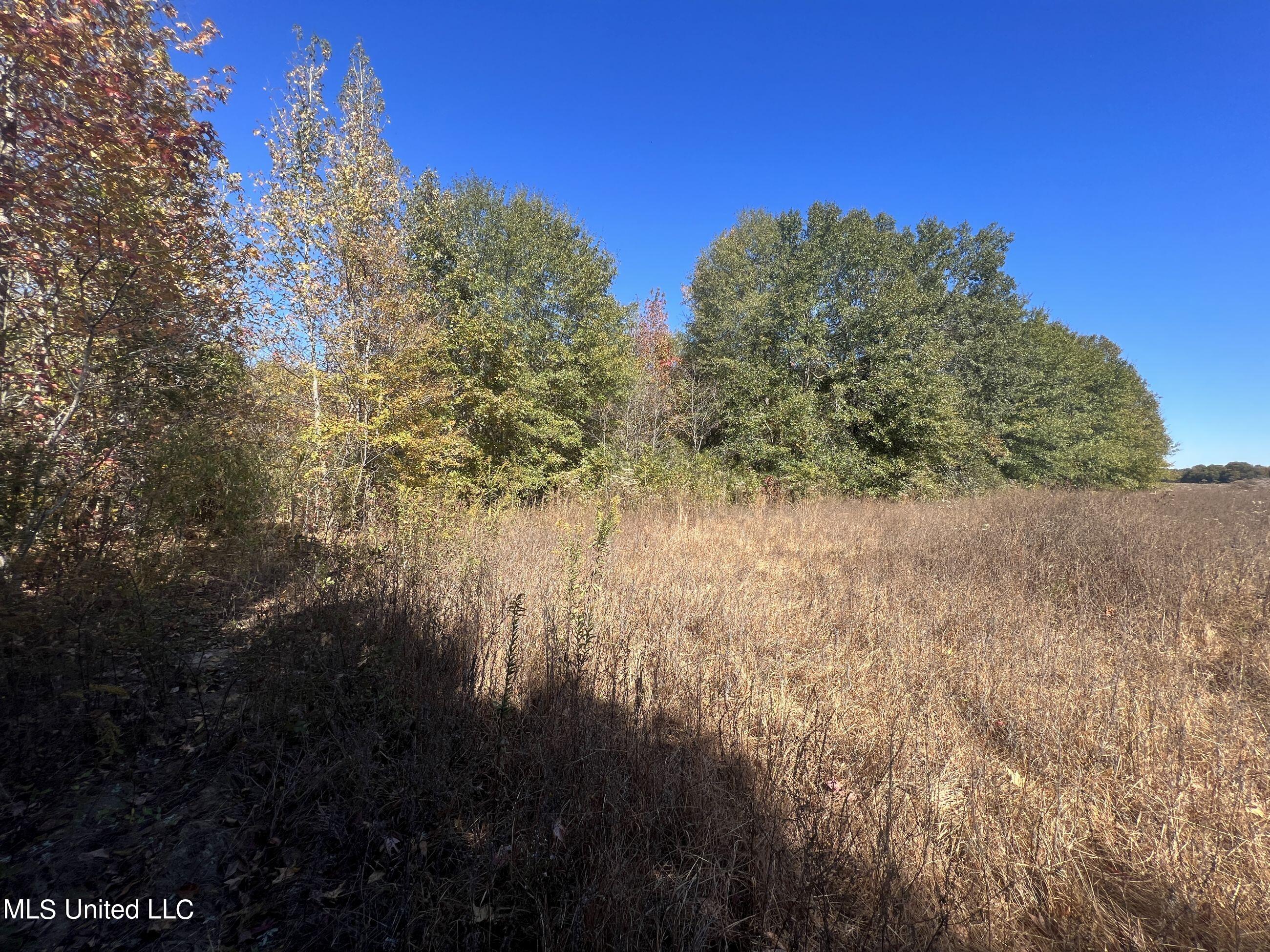 5151 Nash Road Property Photo 47