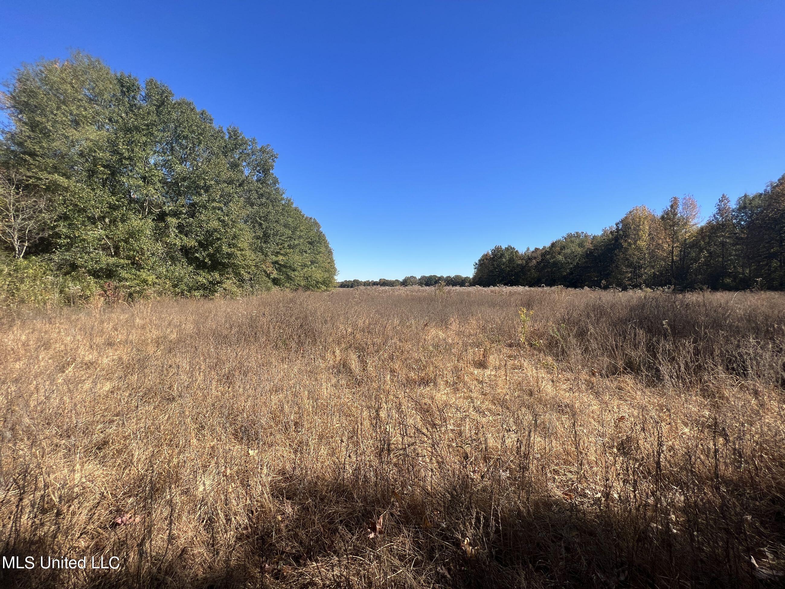 5151 Nash Road Property Photo 48