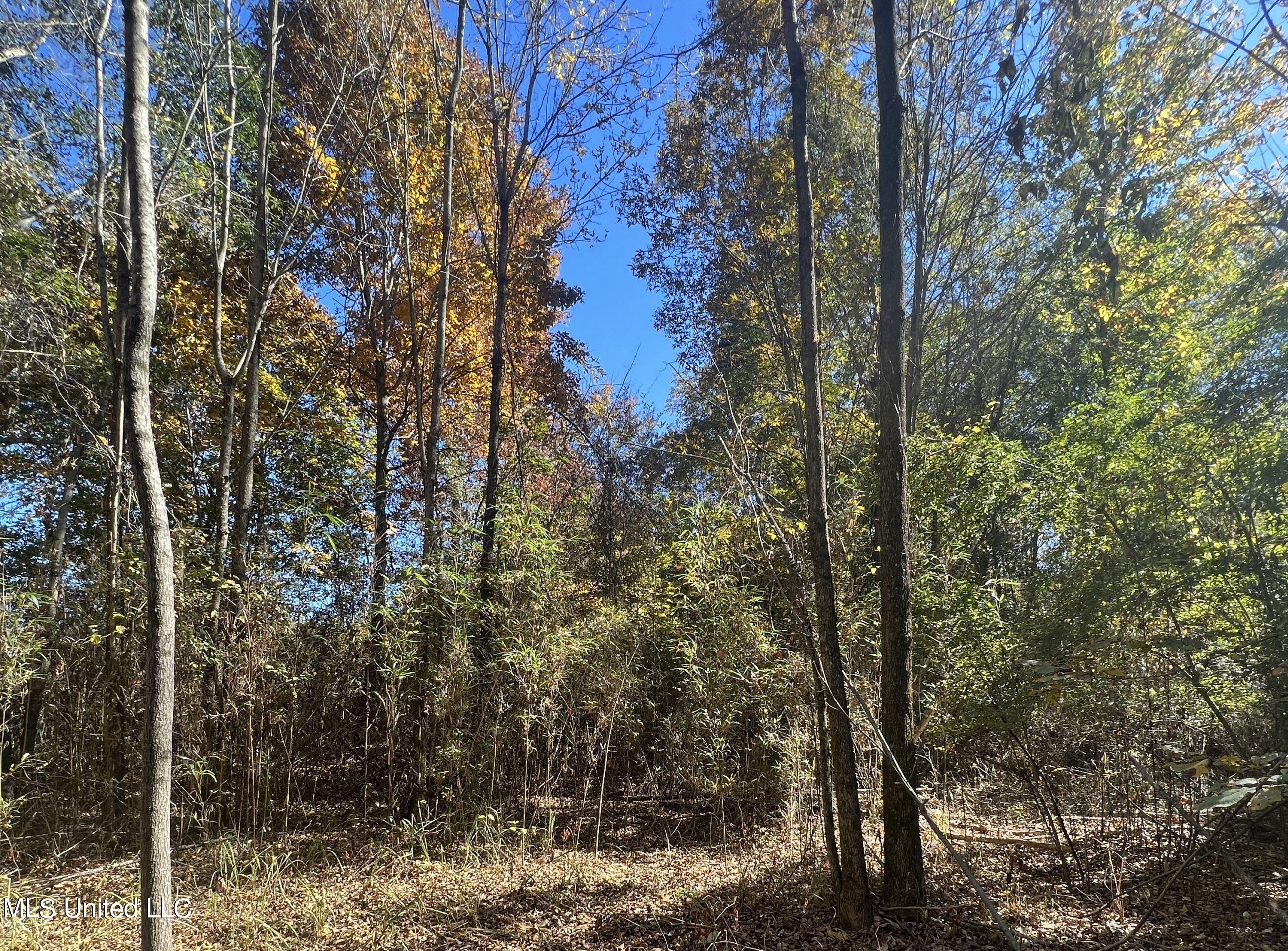 5151 Nash Road Property Photo 50