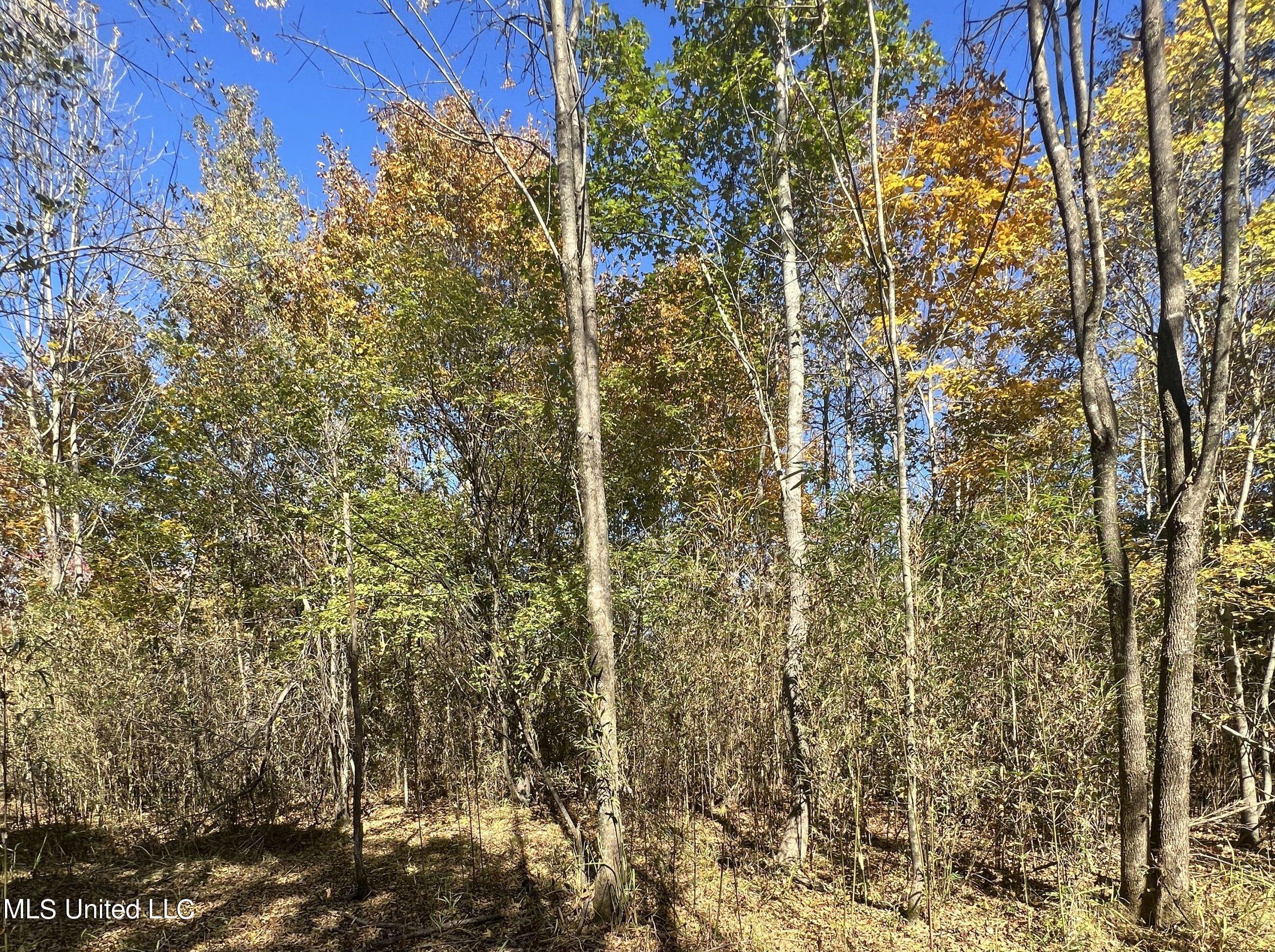 5151 Nash Road Property Photo 51