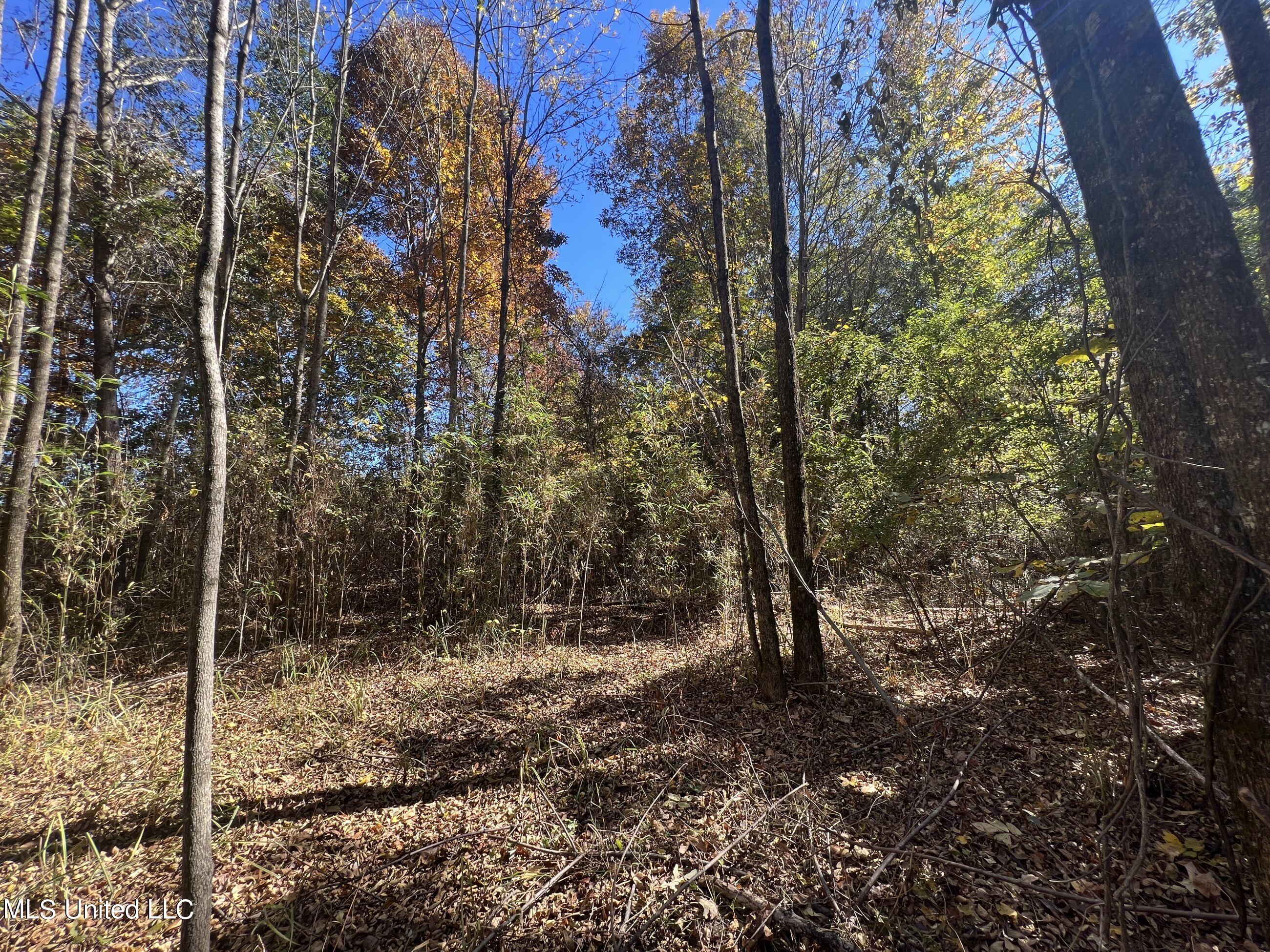 5151 Nash Road Property Photo 52