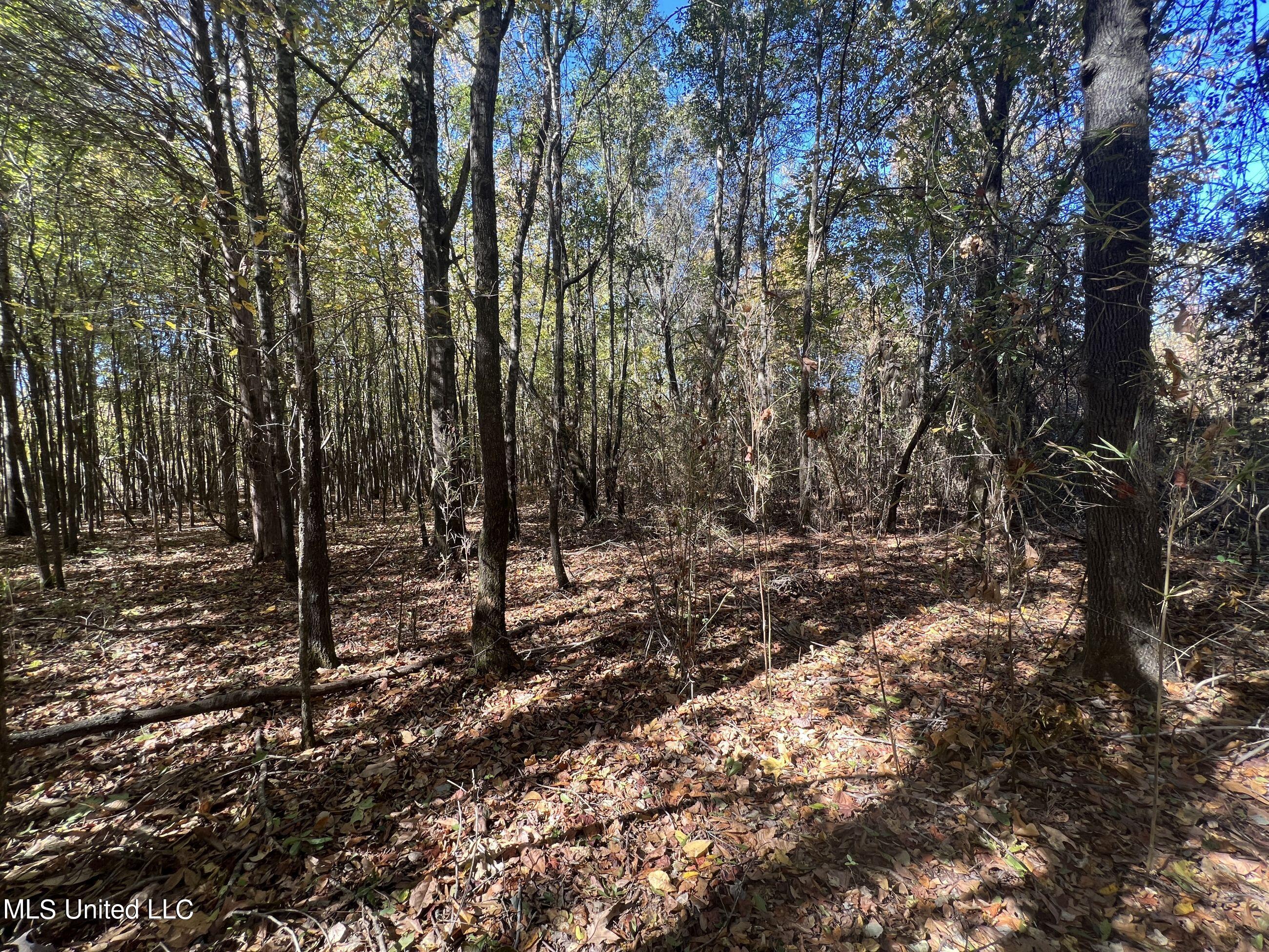 5151 Nash Road Property Photo 53