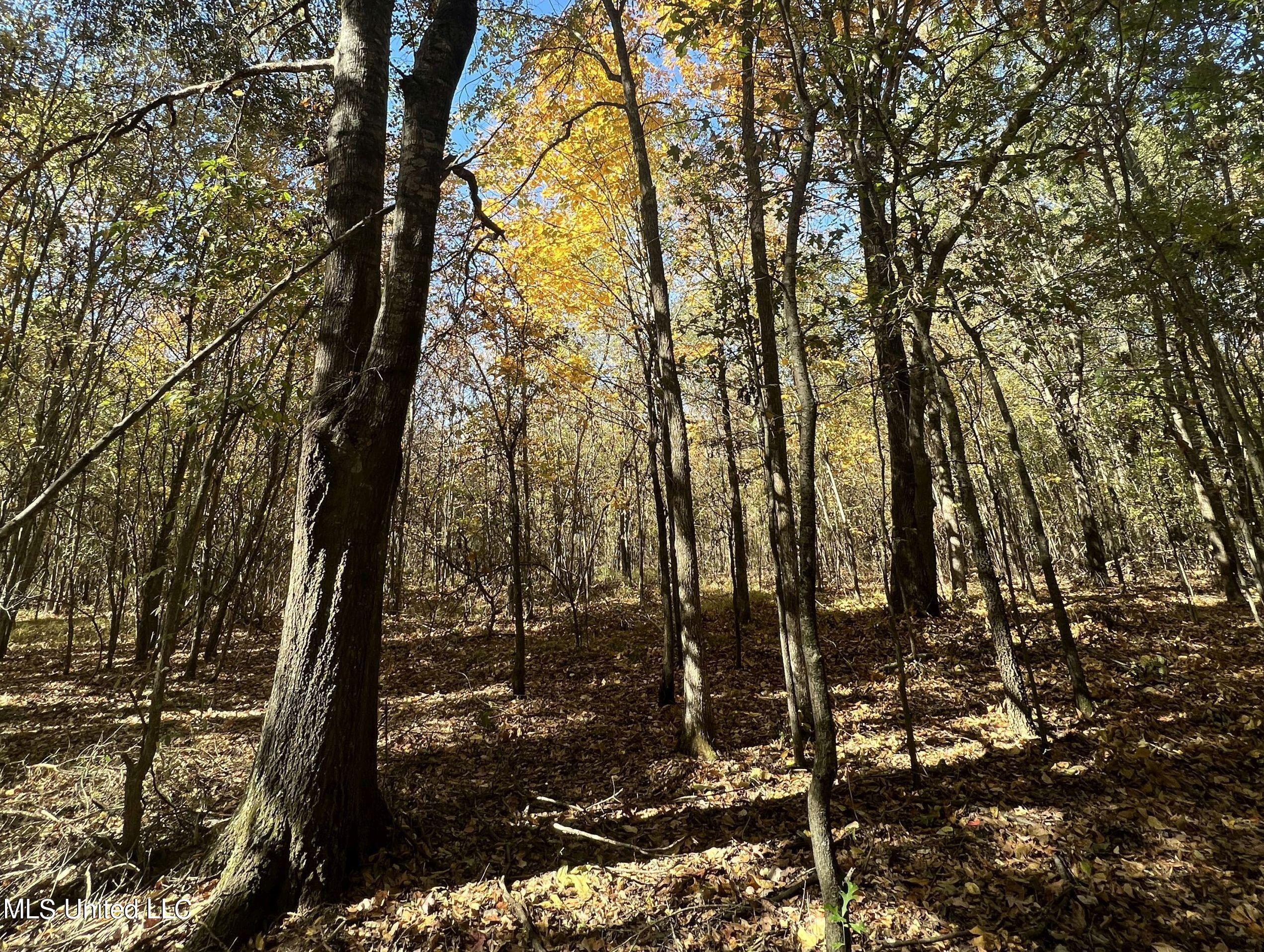 5151 Nash Road Property Photo 55