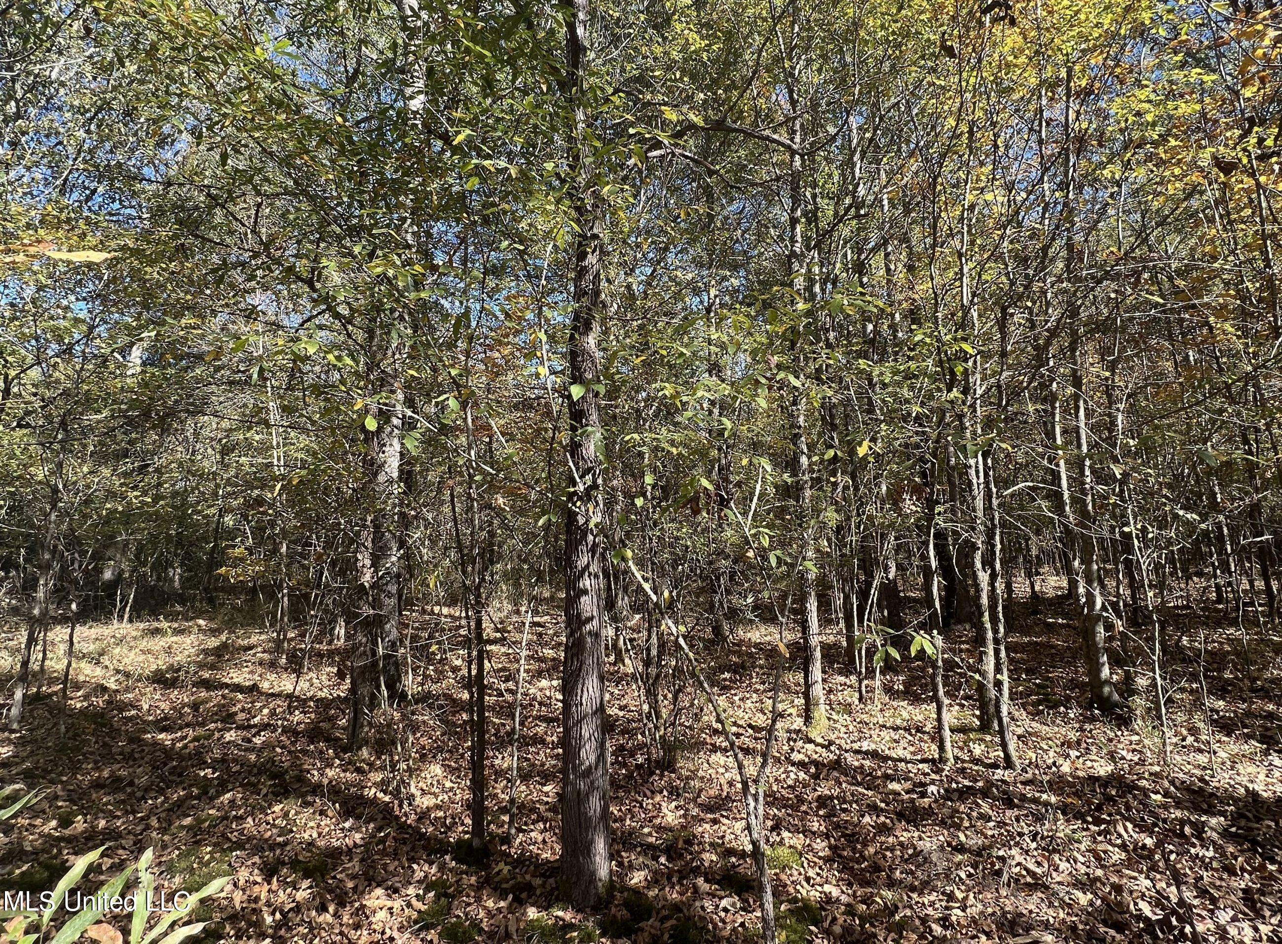 5151 Nash Road Property Photo 56