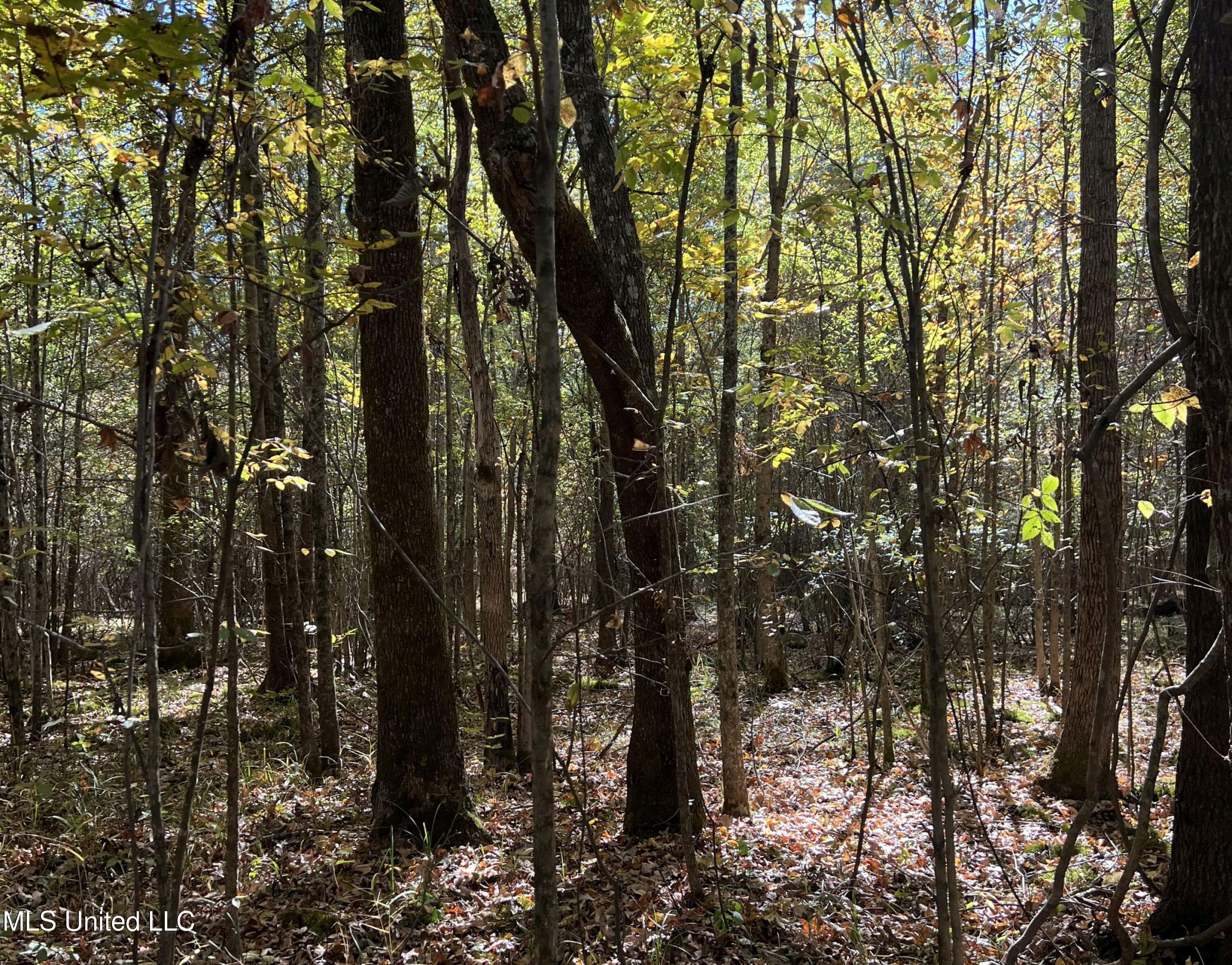 5151 Nash Road Property Photo 58