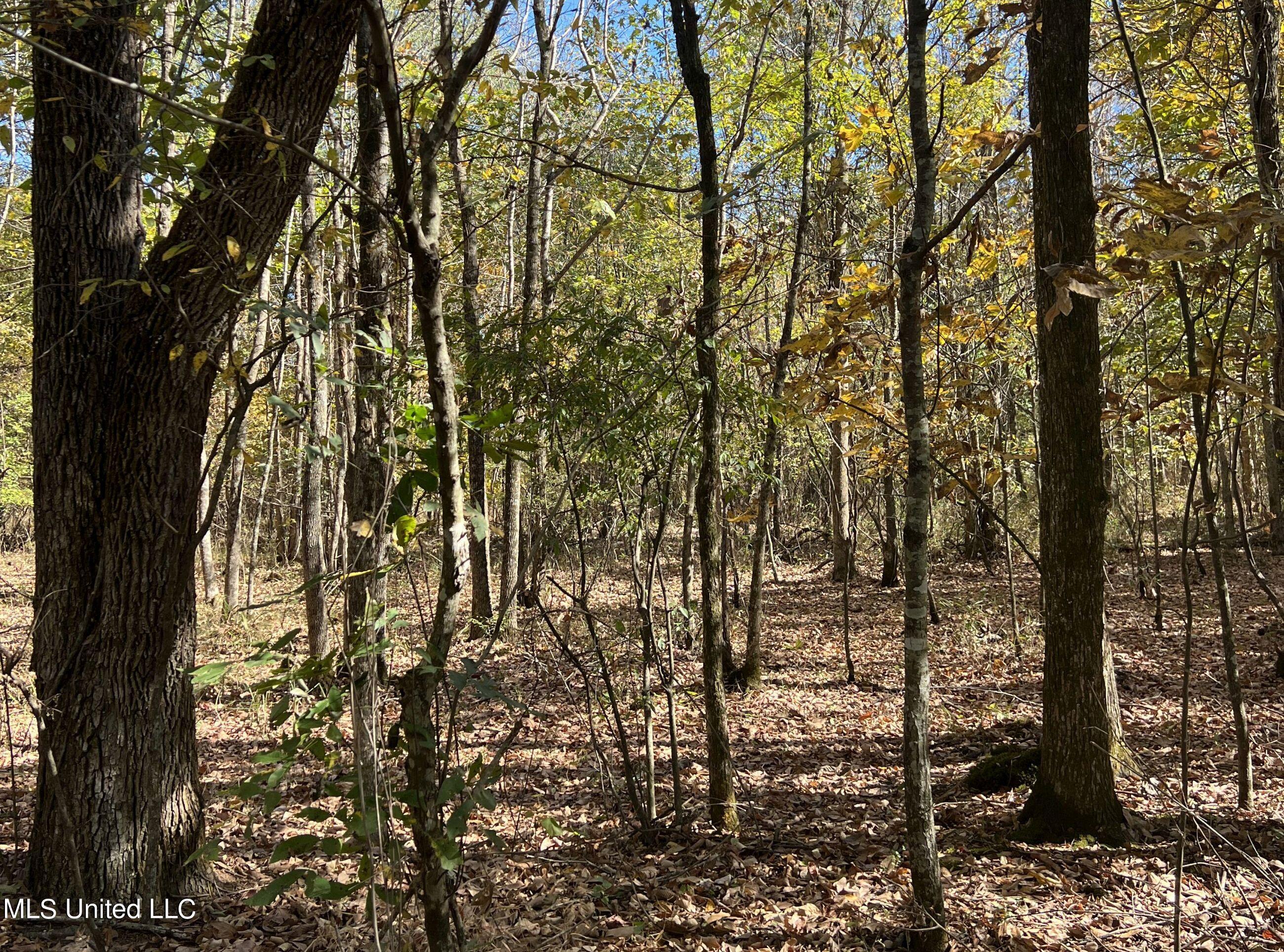 5151 Nash Road Property Photo 60