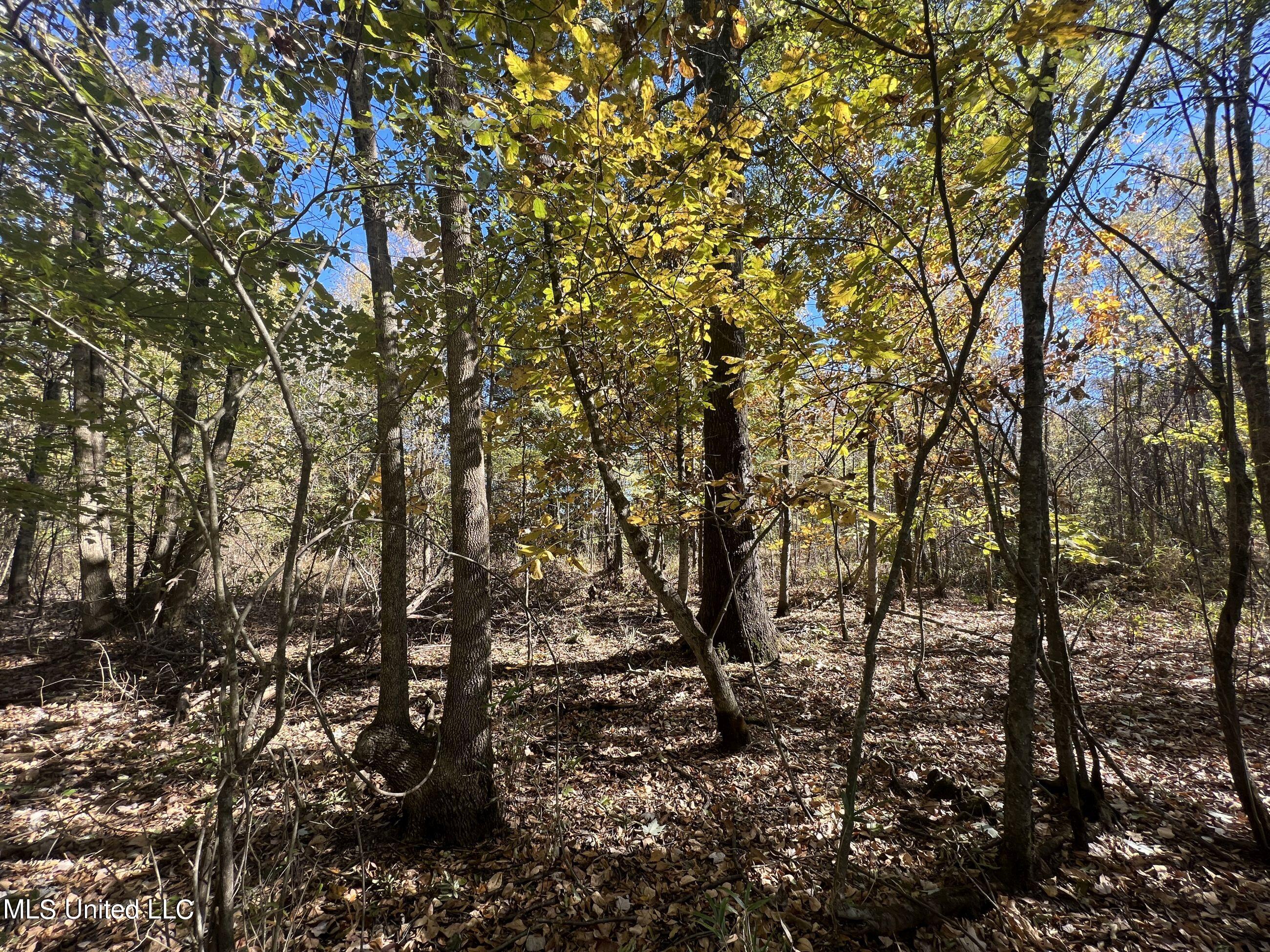 5151 Nash Road Property Photo 63