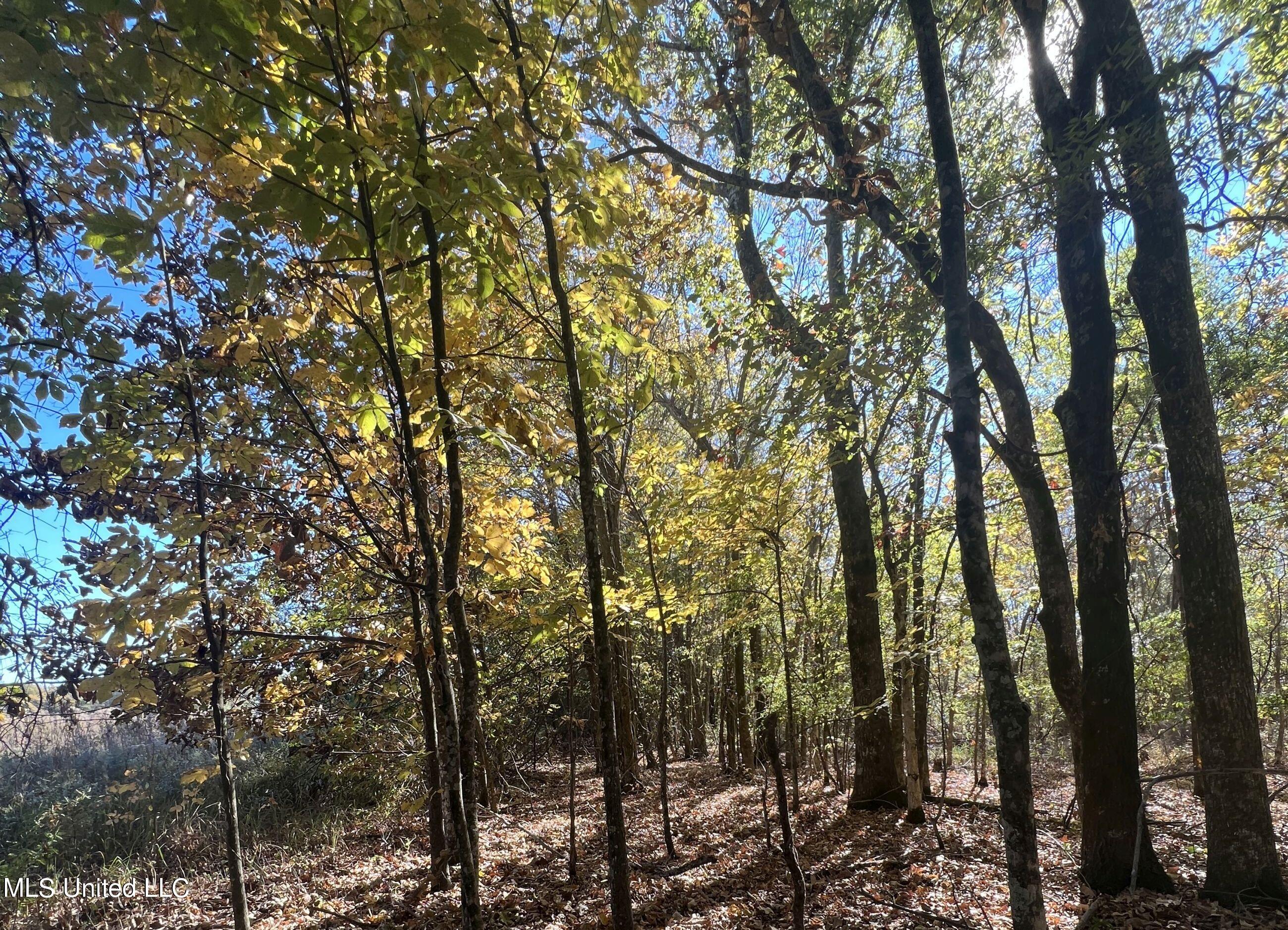 5151 Nash Road Property Photo 66