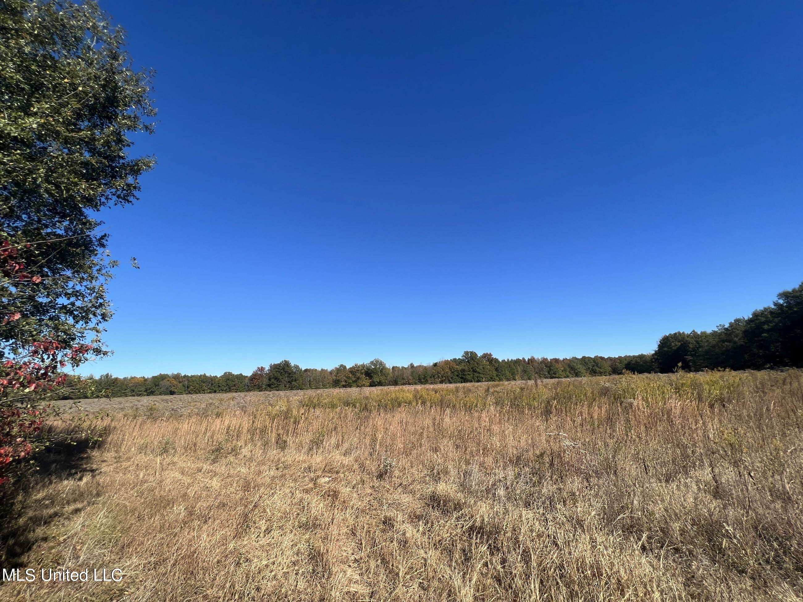 5151 Nash Road Property Photo 68