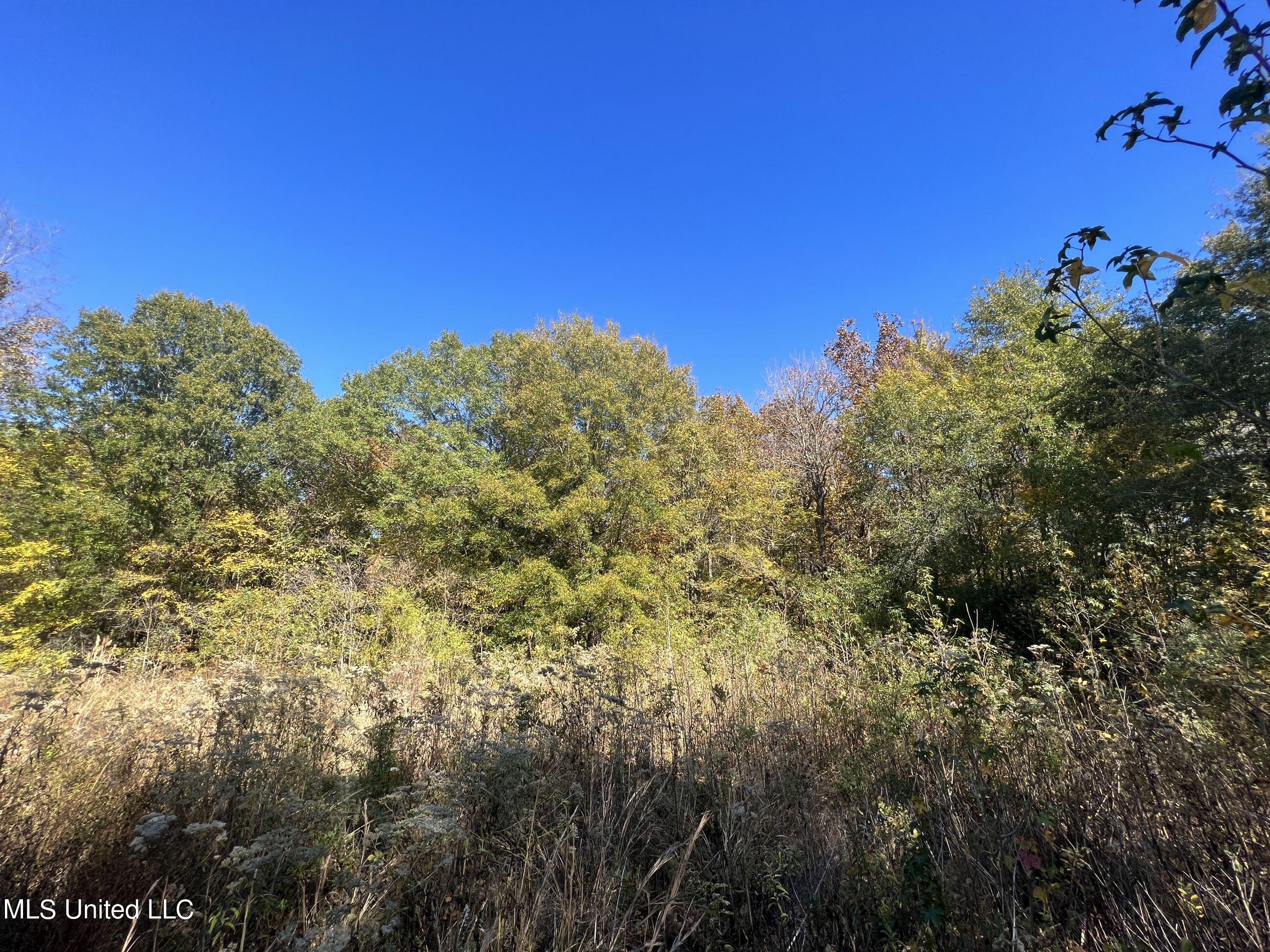 5151 Nash Road Property Photo 69