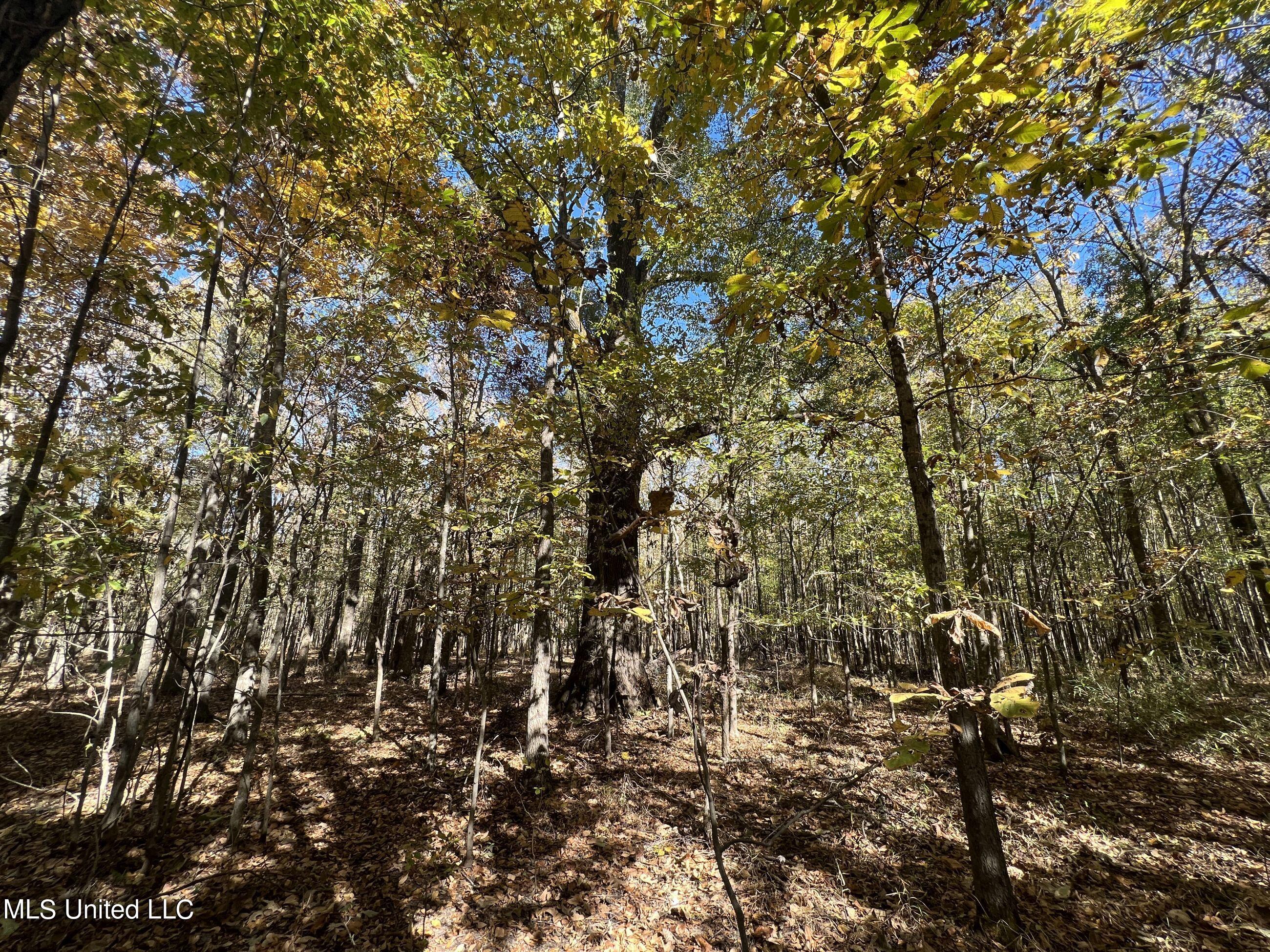 5151 Nash Road Property Photo 71