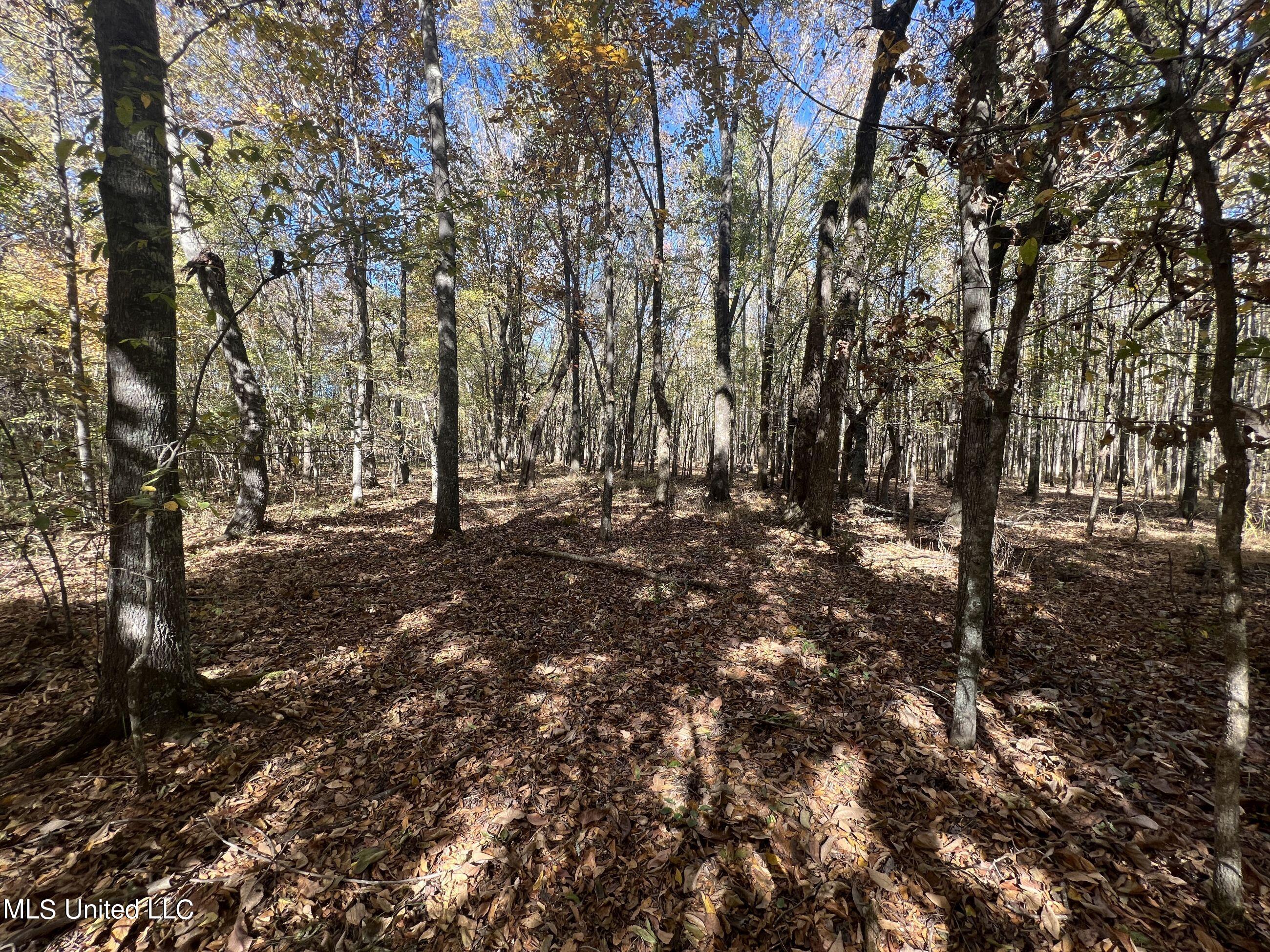 5151 Nash Road Property Photo 75