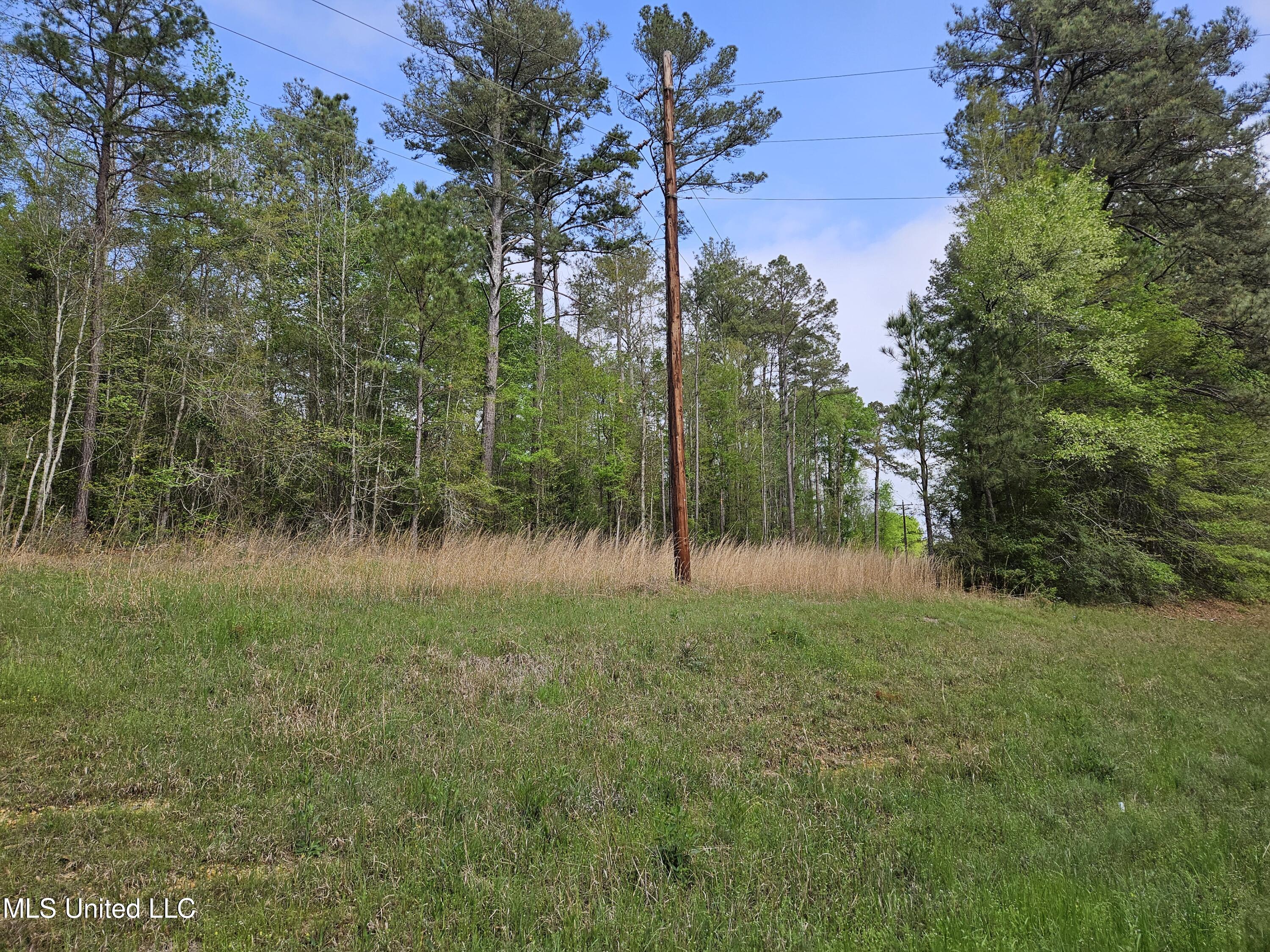 0 Hwy 43 Property Photo 1
