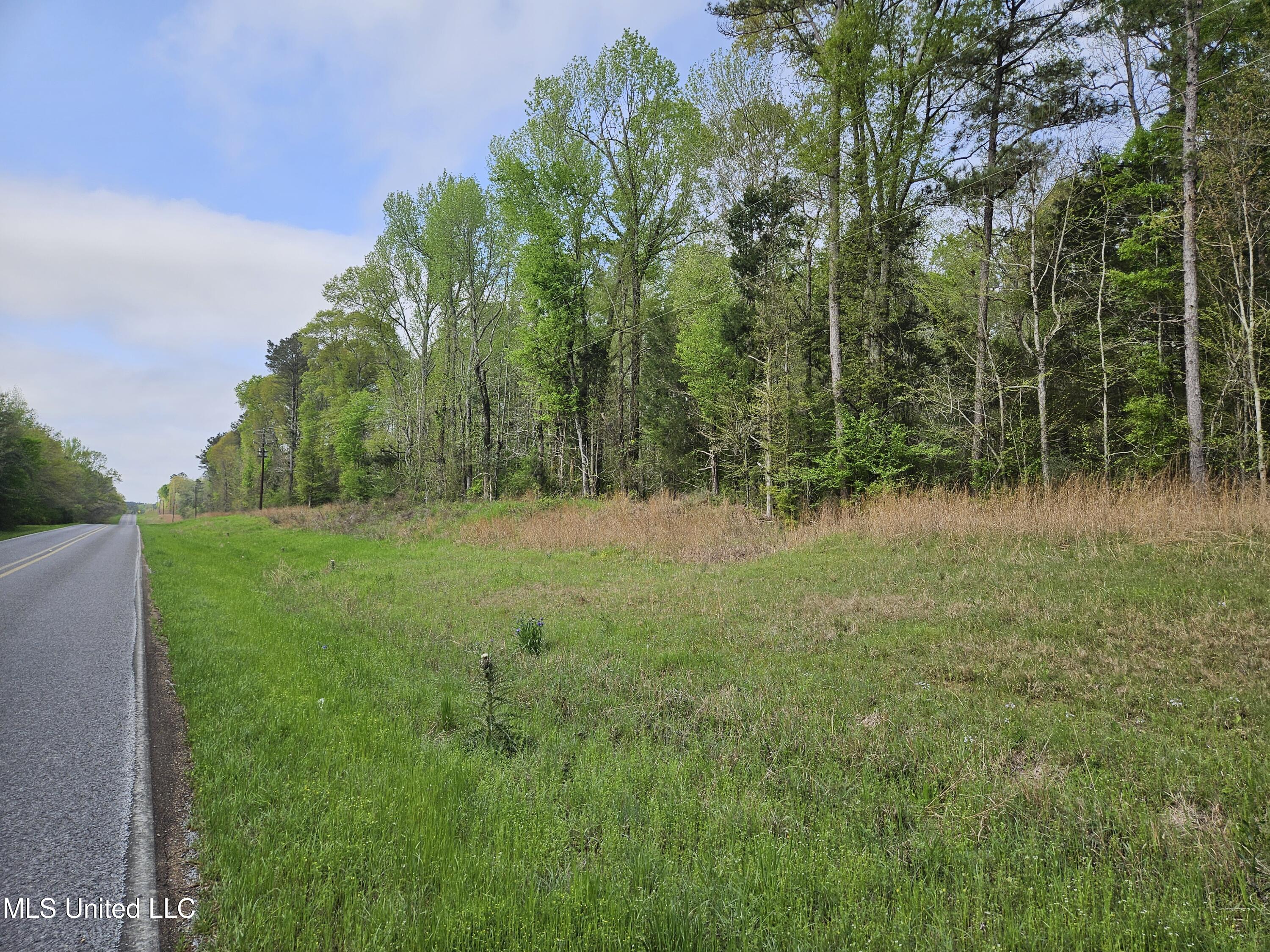 0 Hwy 43 Property Photo 5