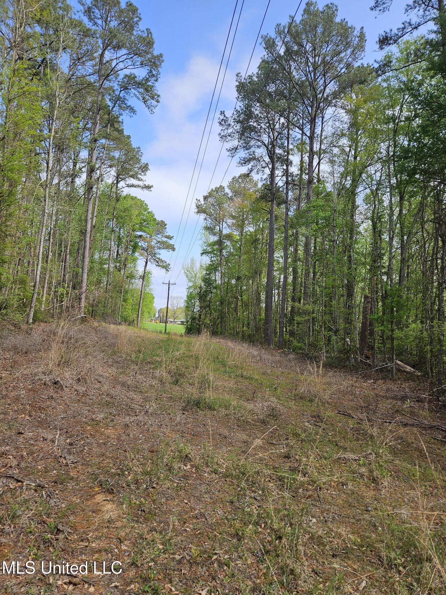 0 Hwy 43 Property Photo 6