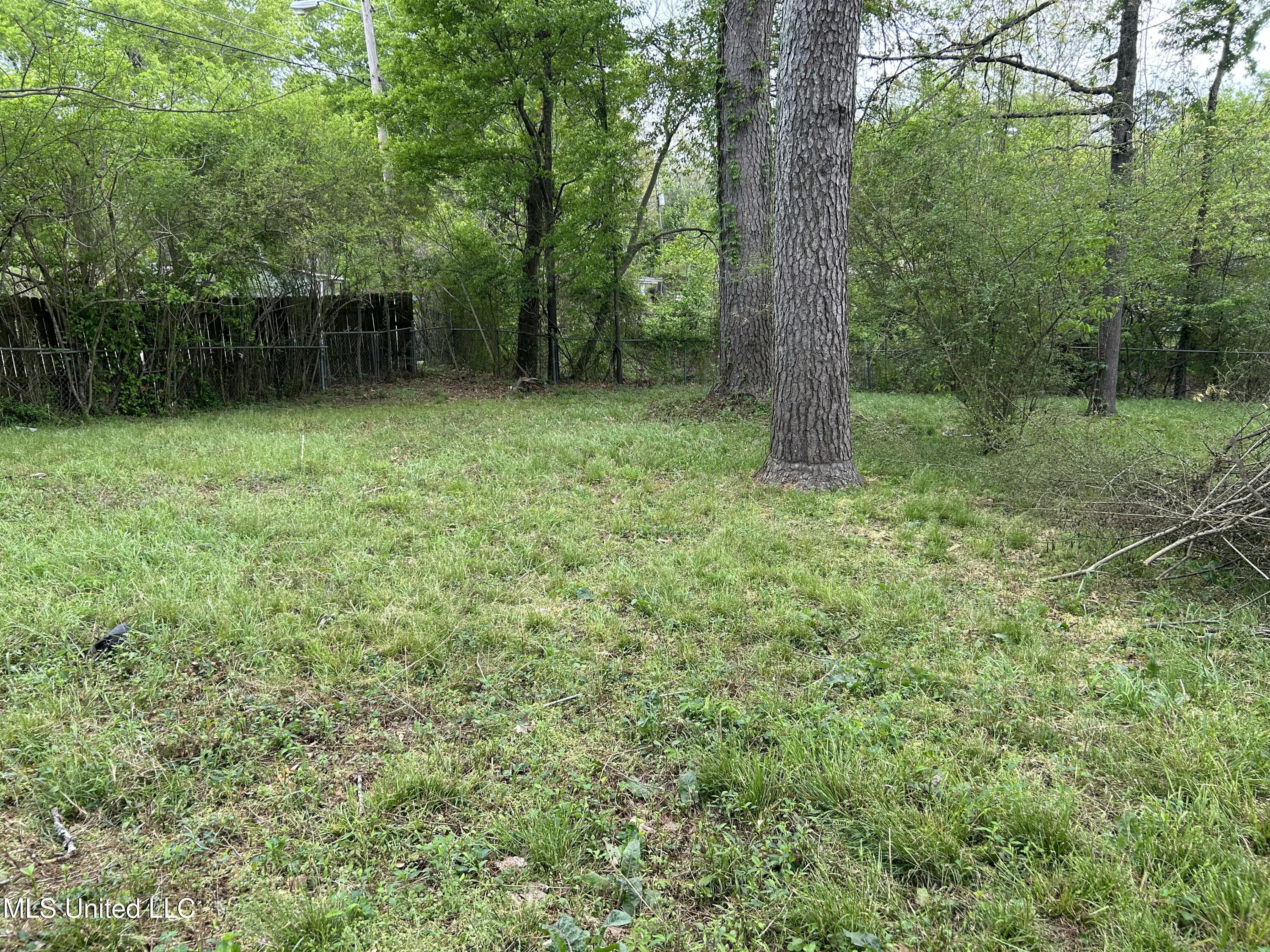 1110 Barbara Ann Drive Property Photo 23