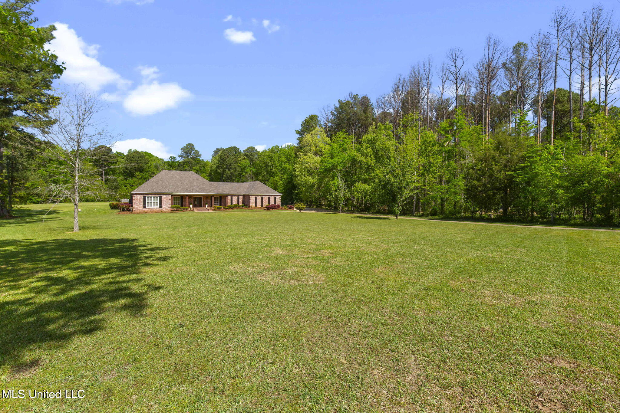 211 Lake Terrace Place Property Photo 69