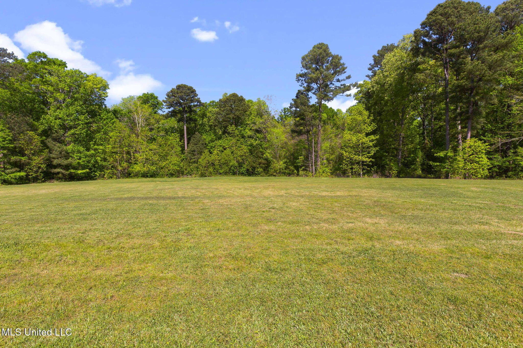 211 Lake Terrace Place Property Photo 73