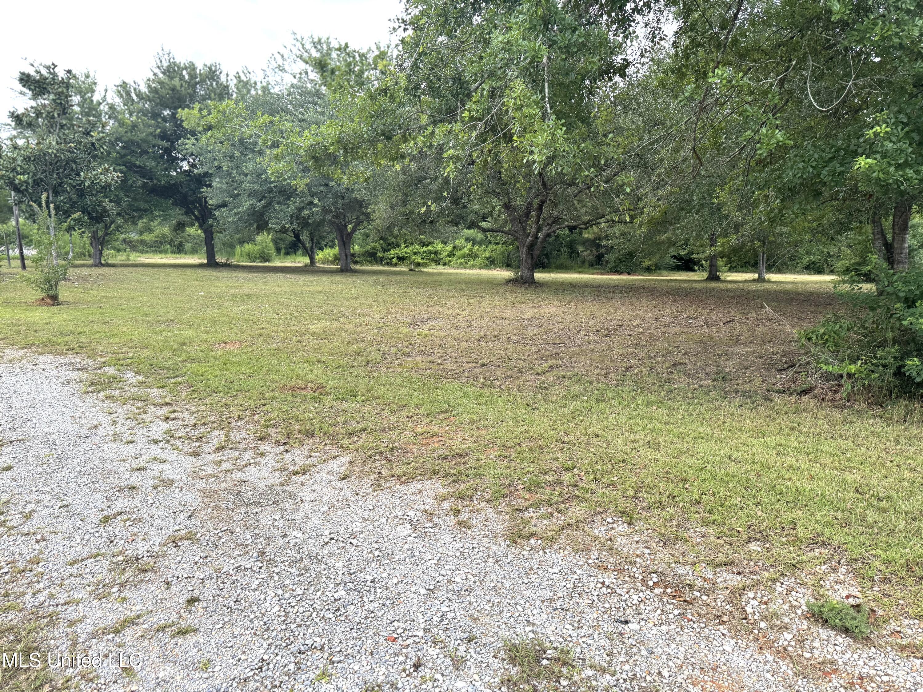 9011 William Road Property Photo 4