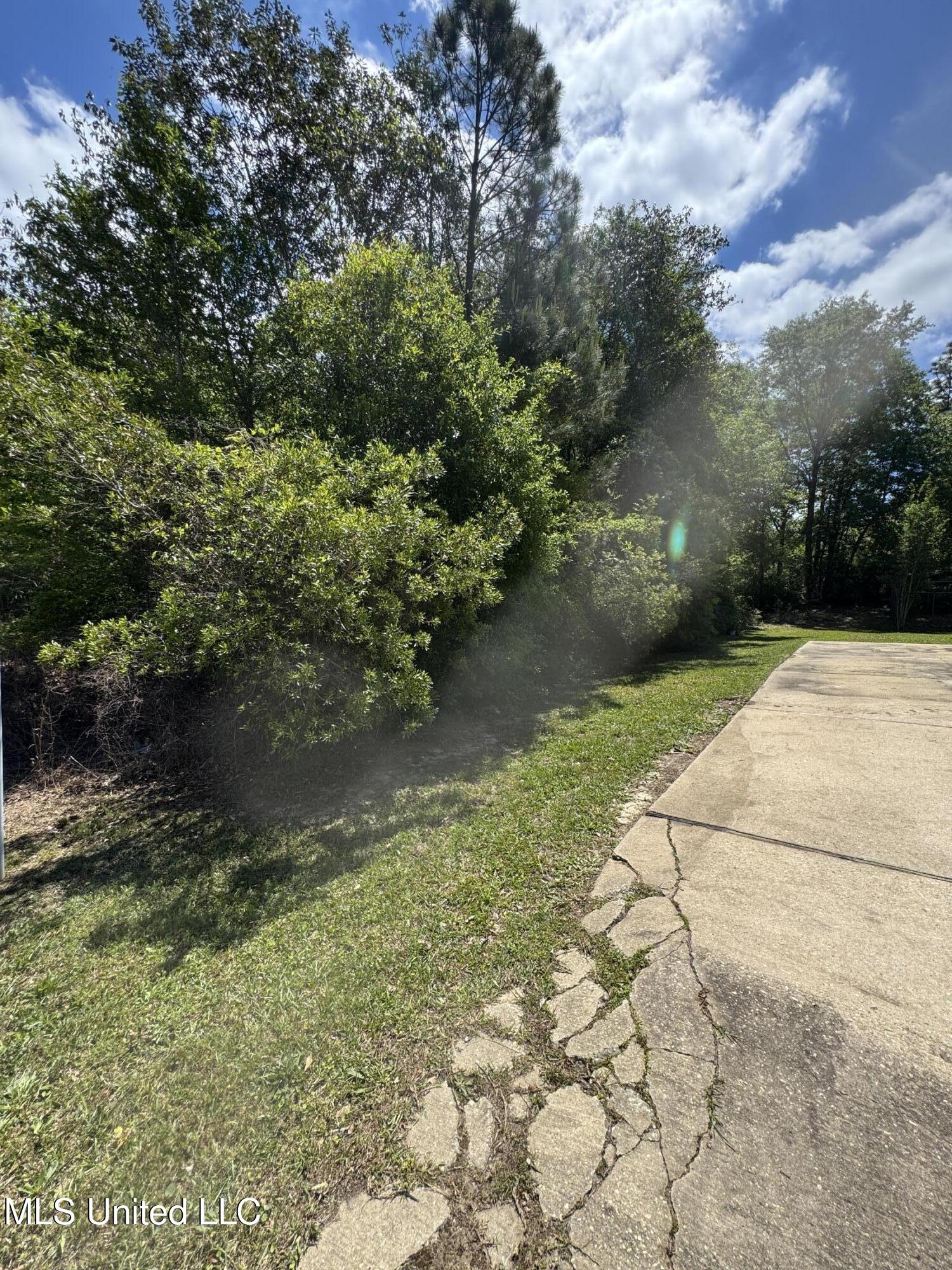 19211 Crestwick Street Property Photo 19