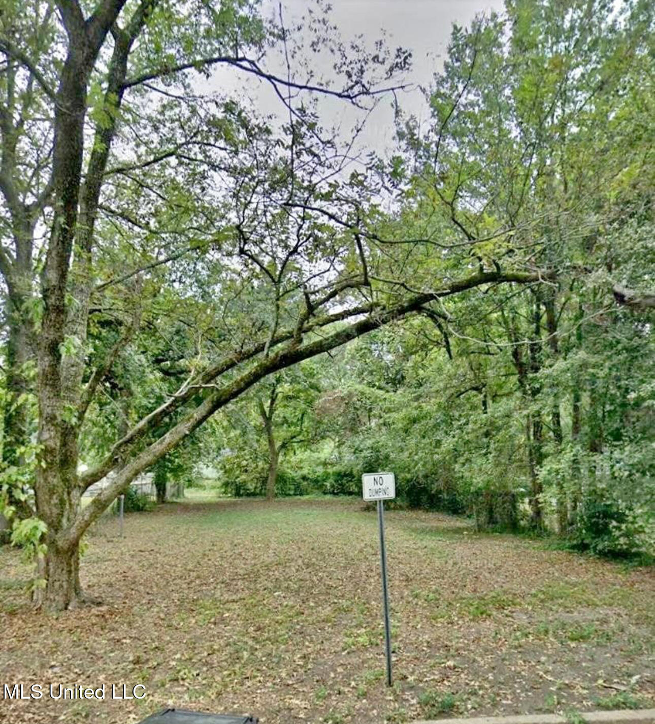 839 Lotus Street Property Photo 1
